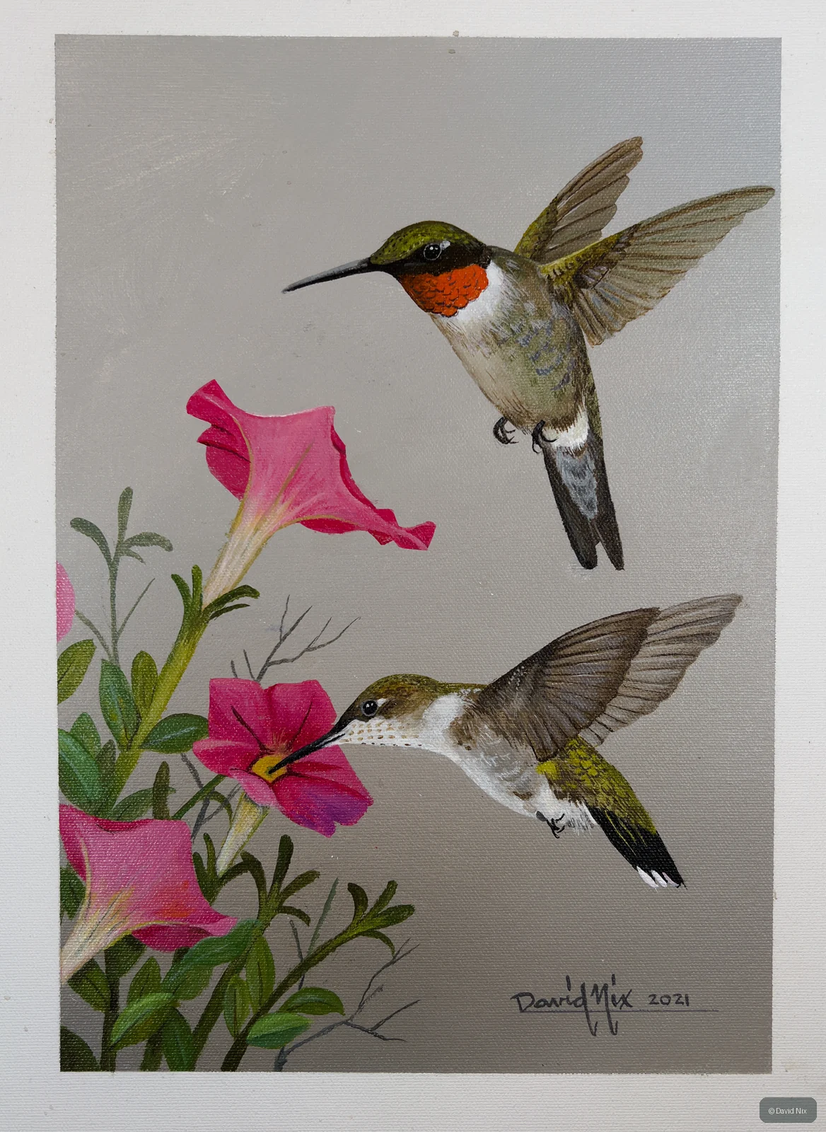 Ruby Throated Humminbird Pair Snacking; ruby-throated hummingbird subject in the hummingbirds series.