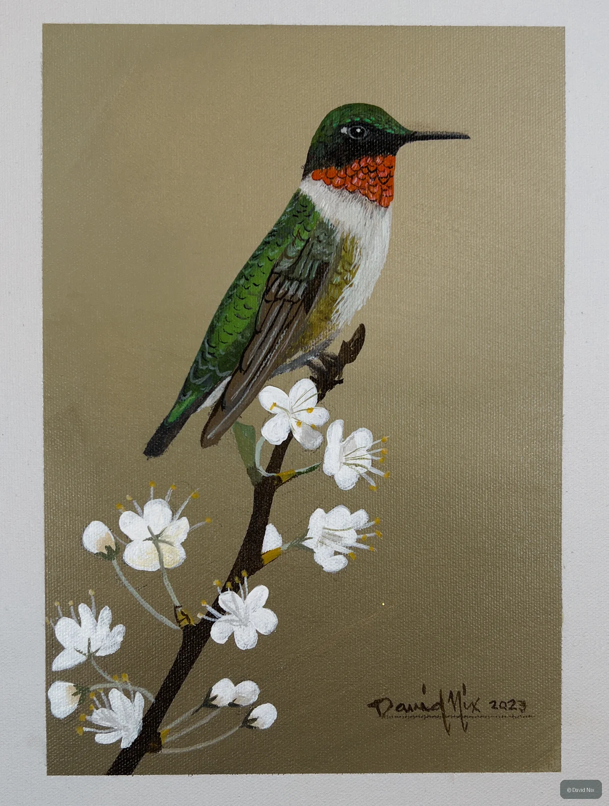 Ruby-Throated Hummingbird Posing; original wildlife artwork in the hummingbirds series.