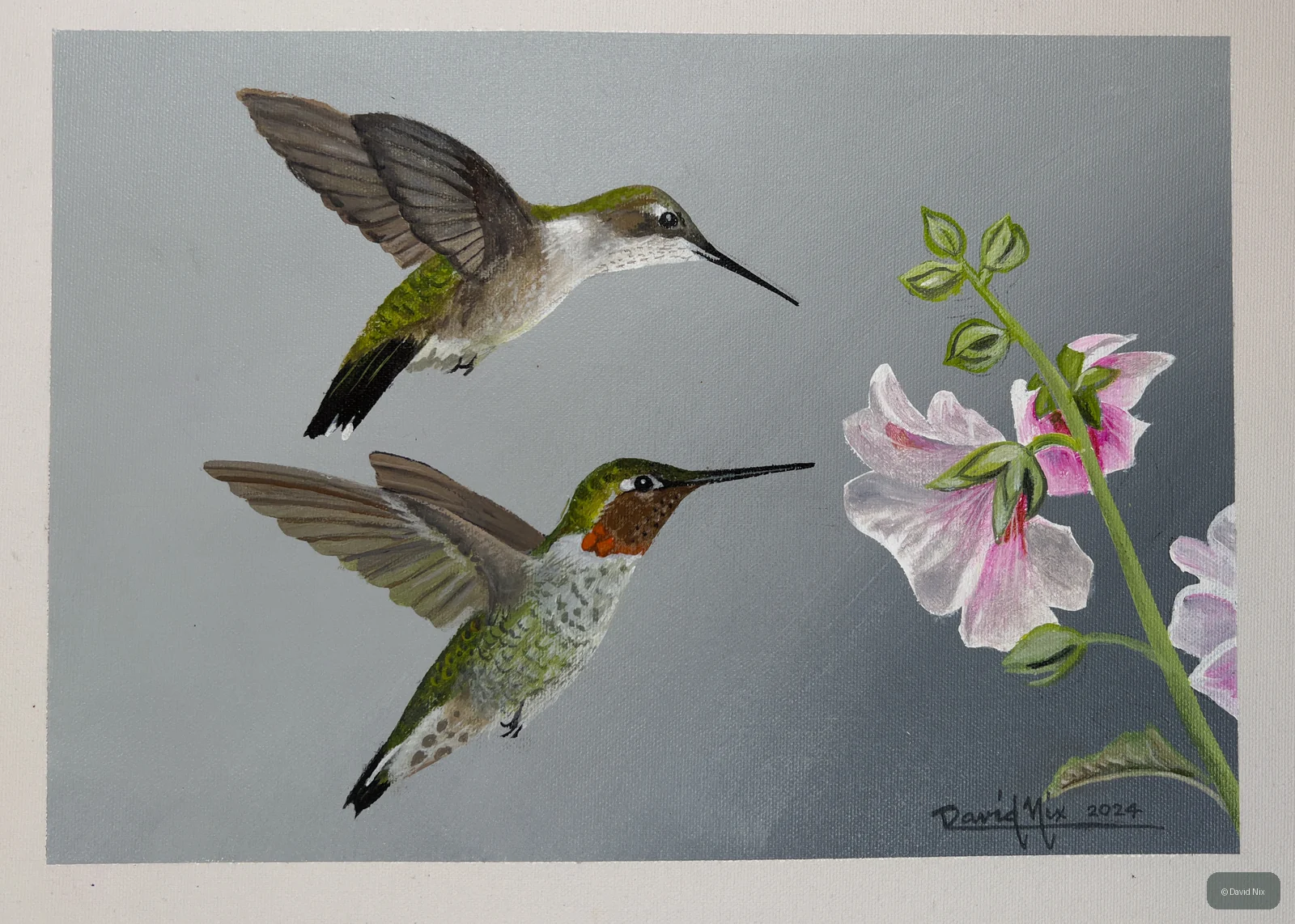 Ruby-Throated Hummingbird Pair; original wildlife artwork in the hummingbirds series.