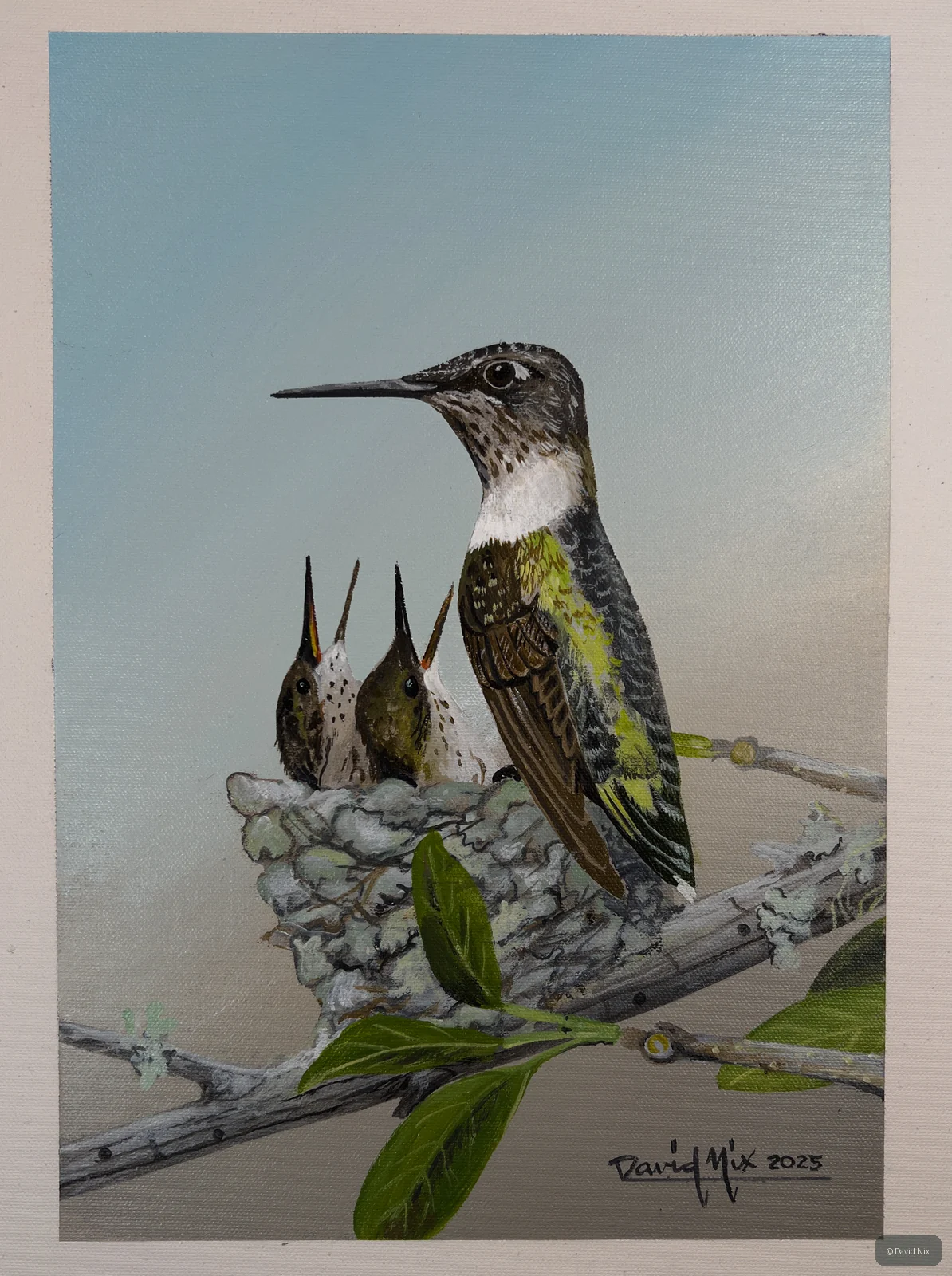 Ruby-Throated Hummingbird and Chicks; original wildlife artwork in the hummingbirds series.