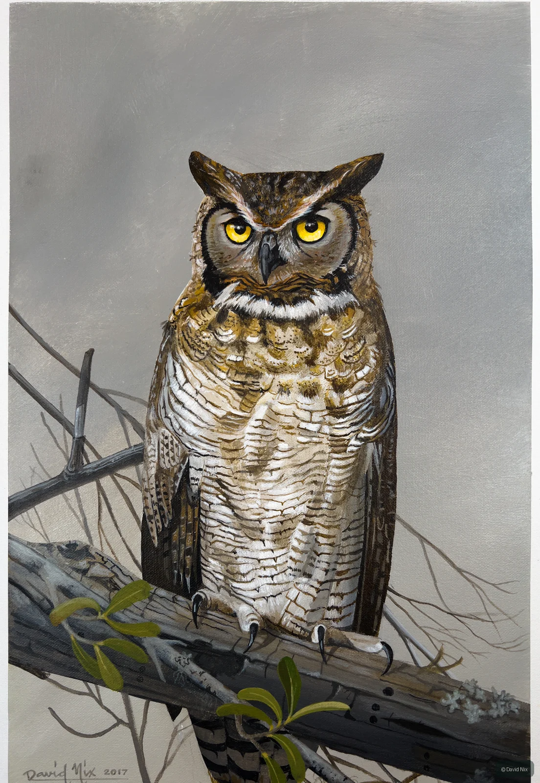 Great Horned Owl Roosting; original wildlife artwork in the other birds series.
