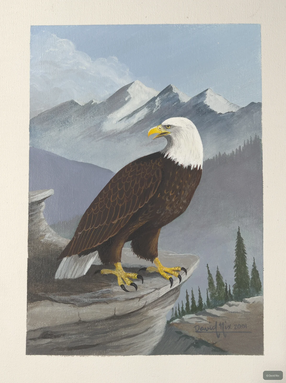 Bald eagle before mountains; classic patriotic/wilderness subject.