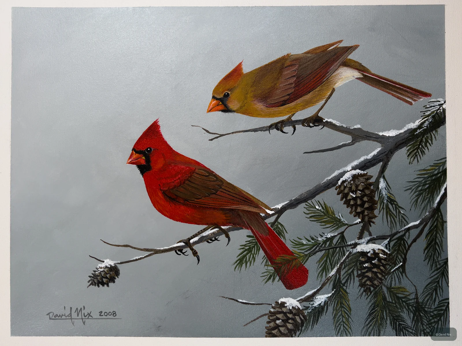 Cardinal Pair on Wintry Pine; original wildlife artwork in the songbirds series.