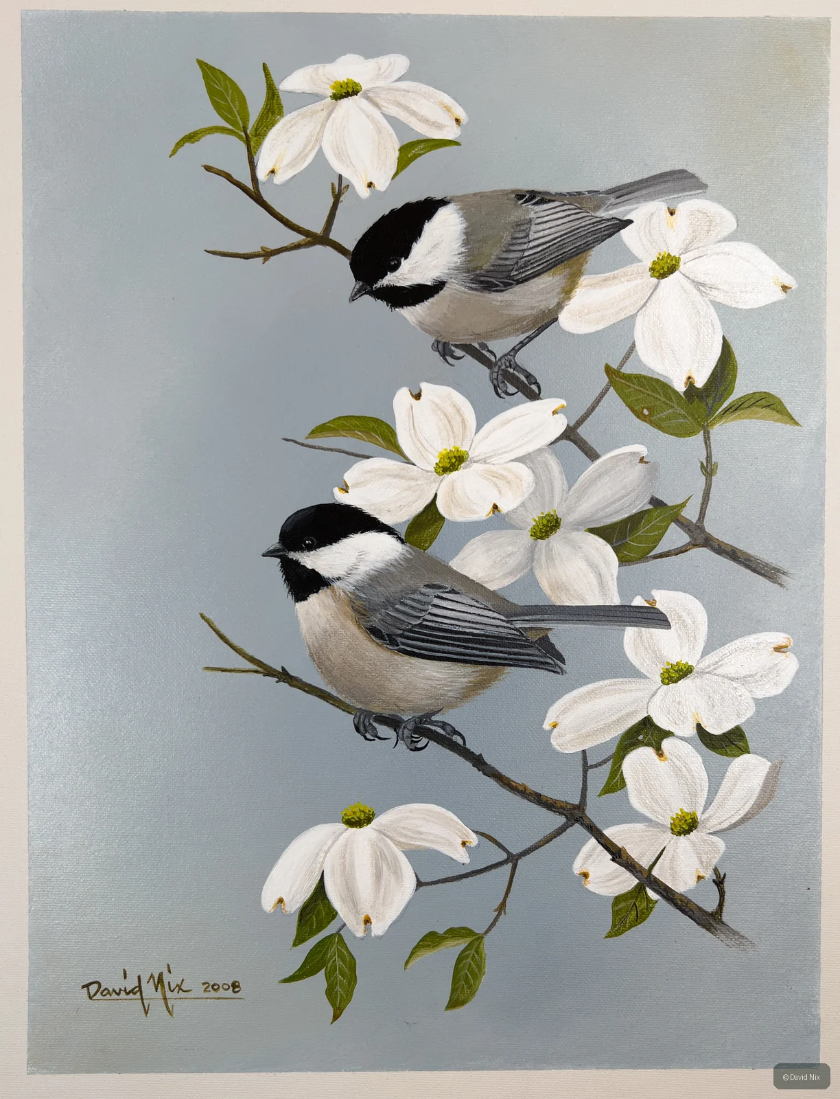 Chickadees in Dogwood; original wildlife artwork in the songbirds series.