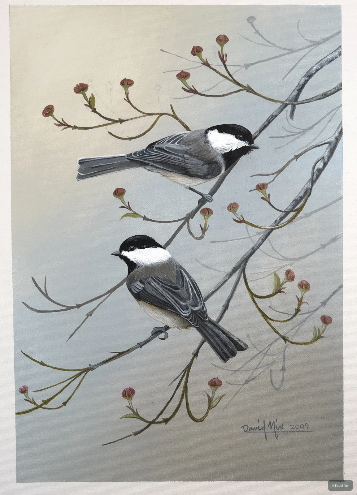 Chickadees in Blossoming Branch; original wildlife artwork in the songbirds series.