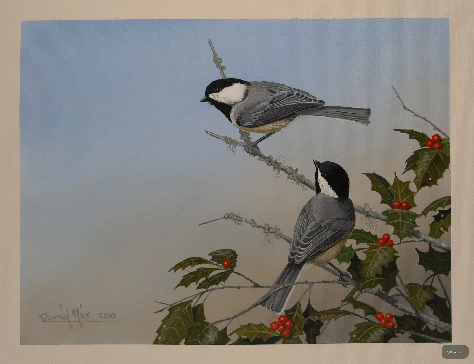 Two chickadees among holly leaves and red berries.