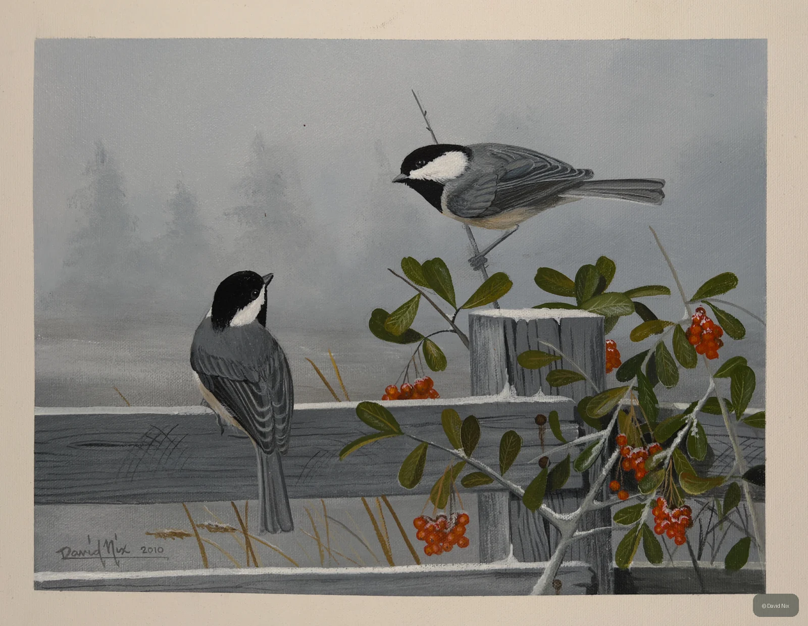 Two chickadees near fence and orange berries in misty winter setting.