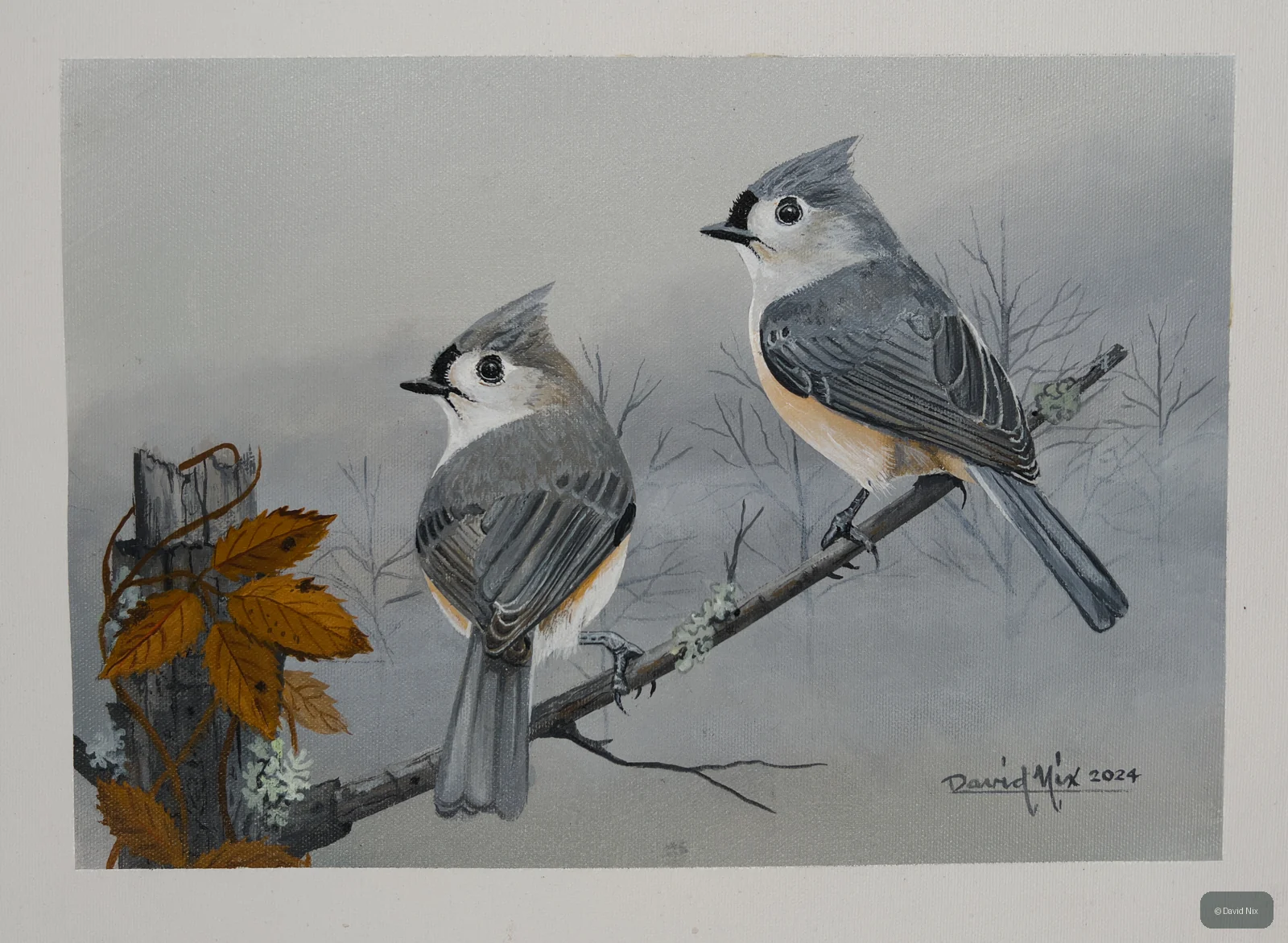 Pair of tufted titmice on branch near fence and autumn leaves.