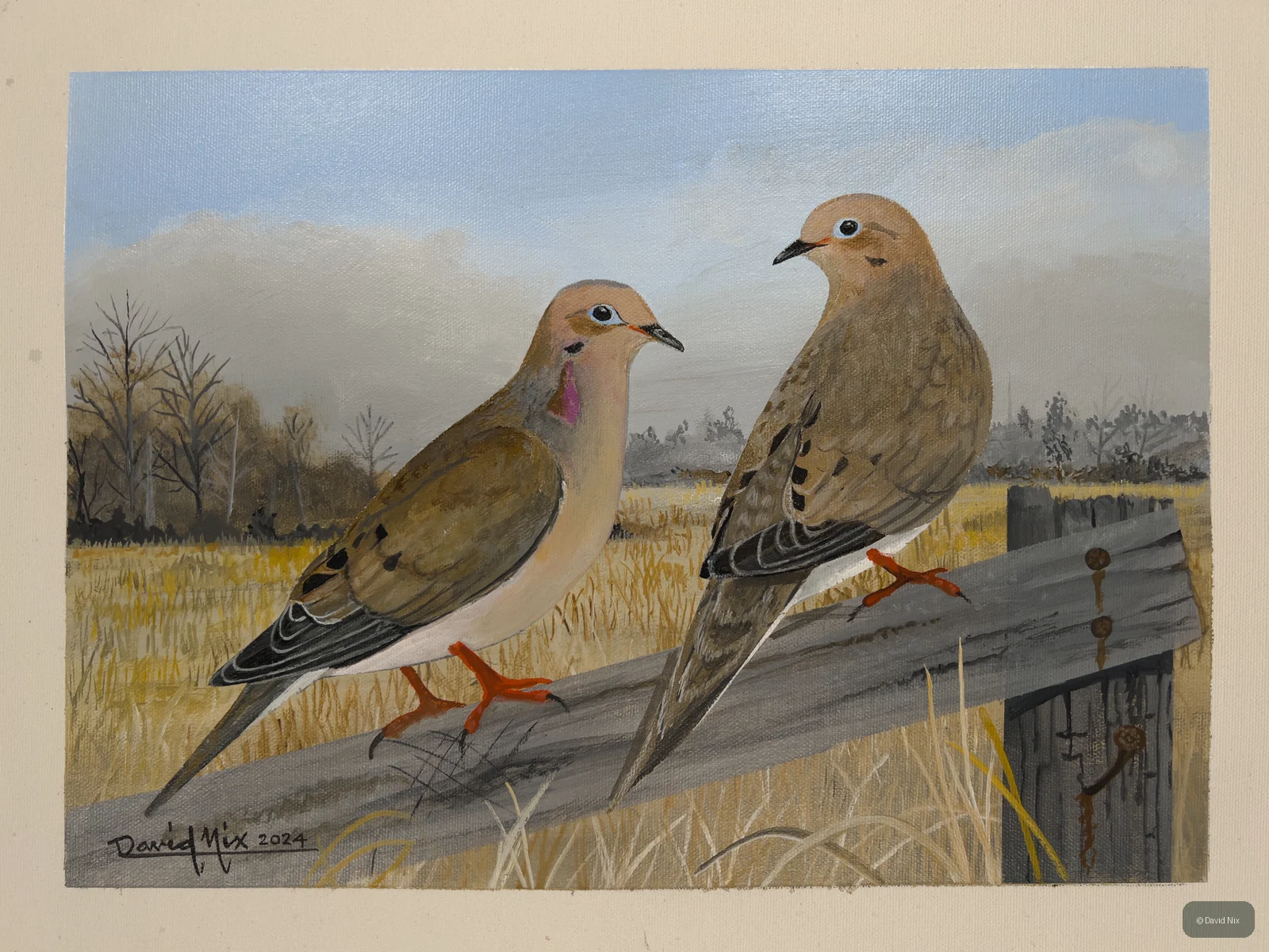 Pair of mourning doves on fence rail in open field.