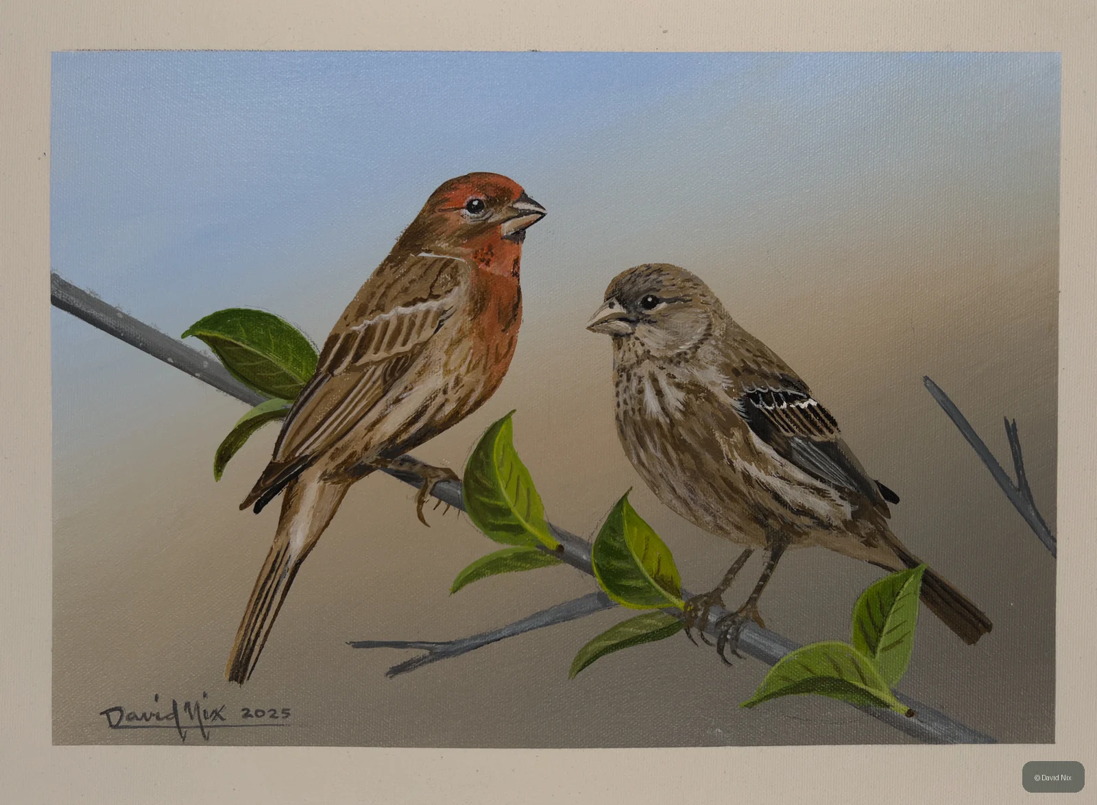 Pair of house finches on leafy branch.
