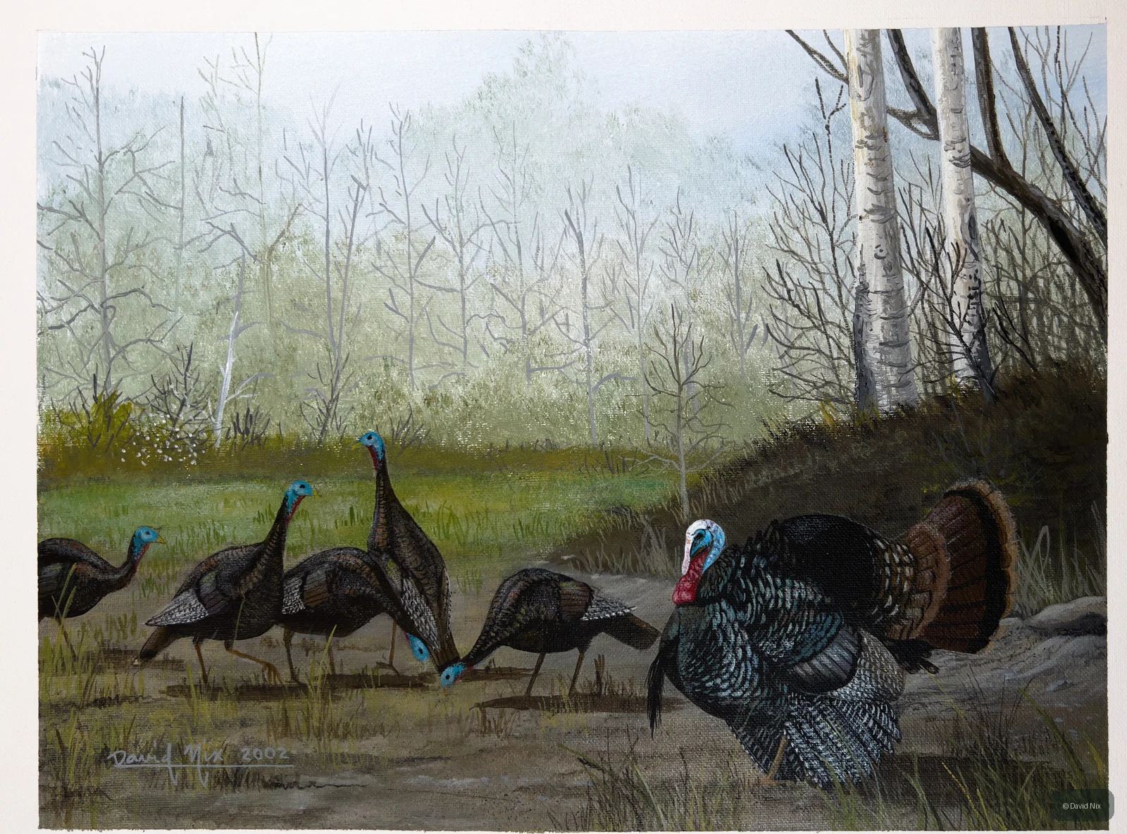 Turkey Flock Feeding; original wildlife artwork in the turkeys series.