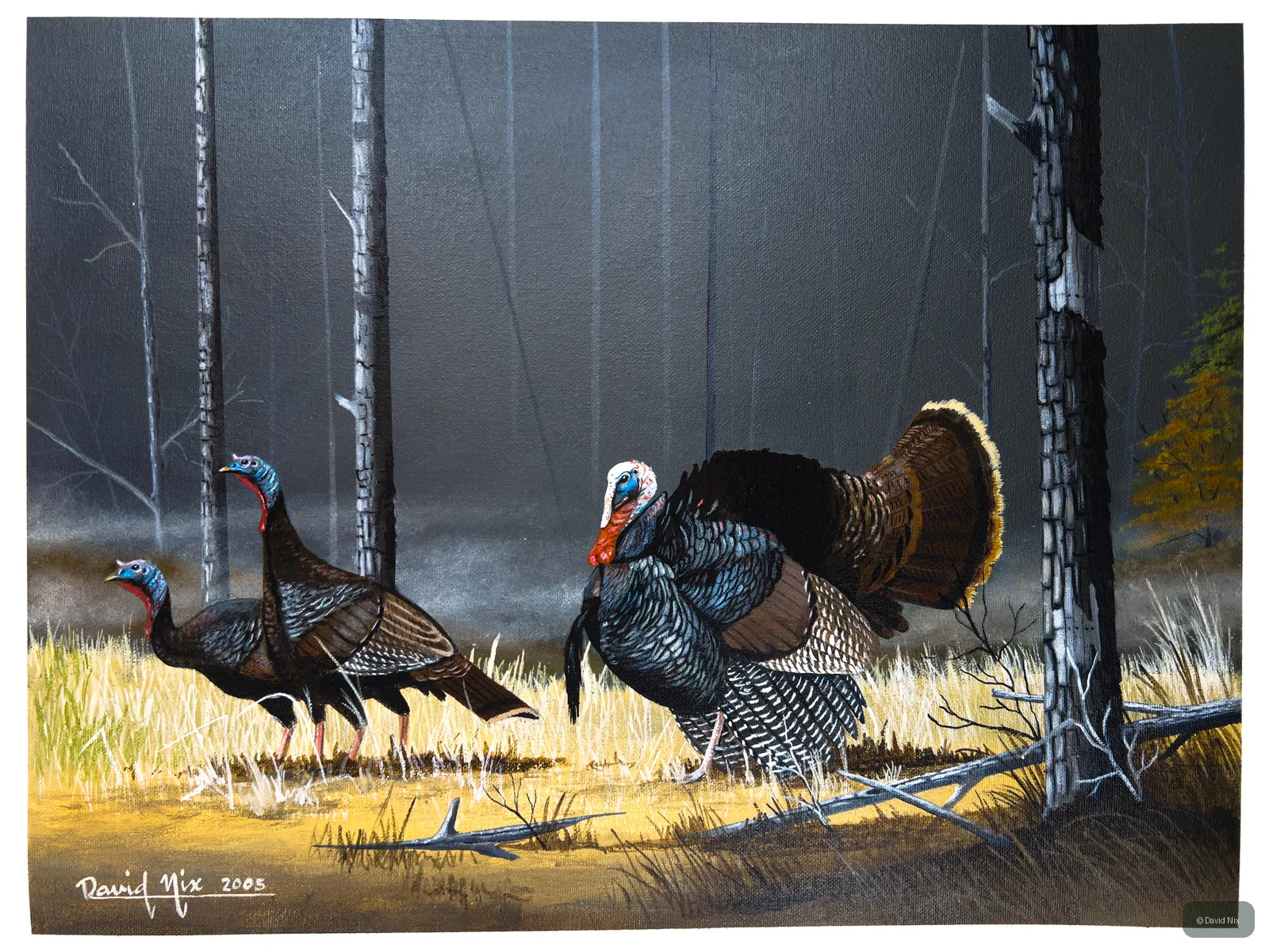 Turkey Group at Dusk; original wildlife artwork in the turkeys series.