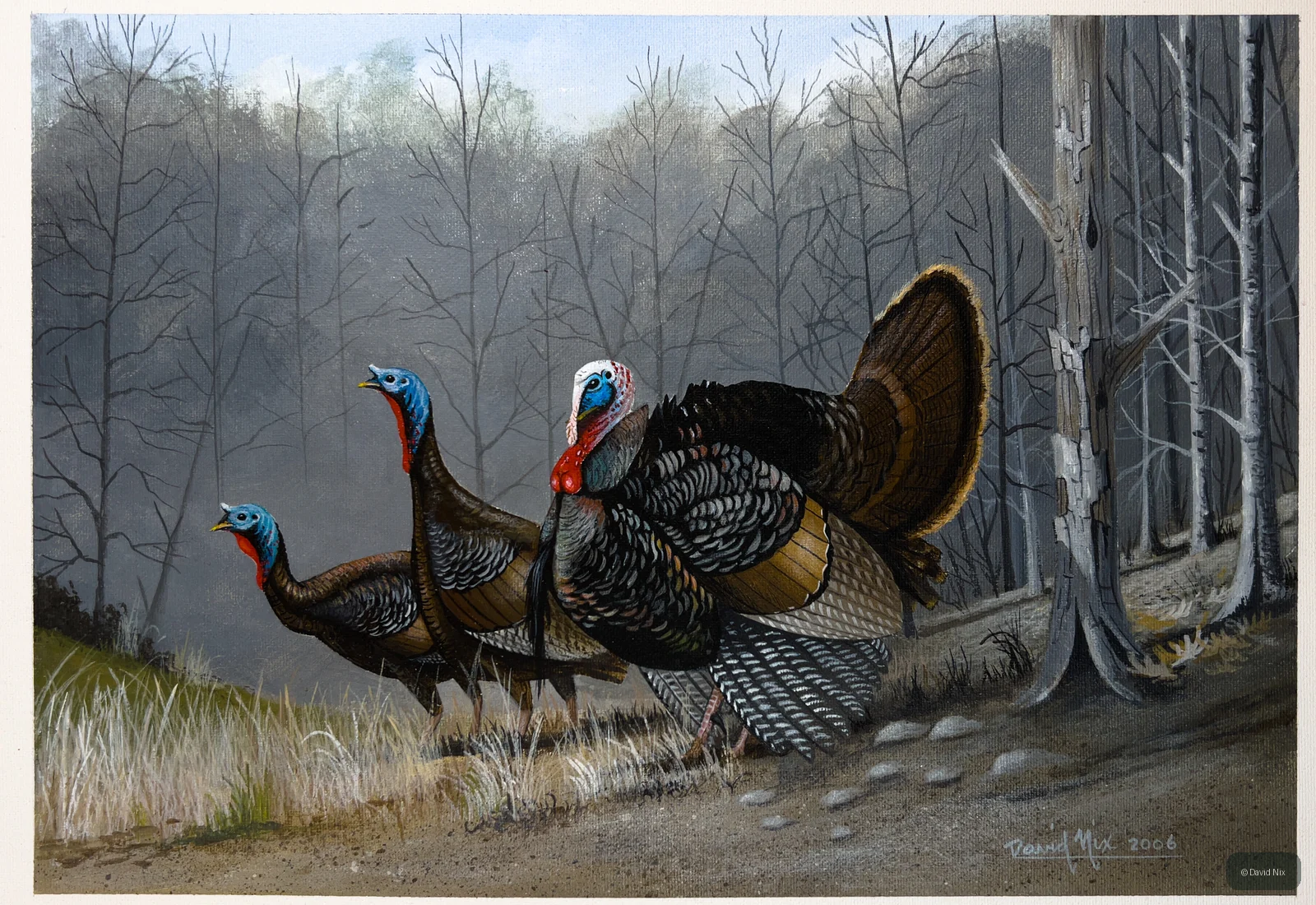 Turkey Family on Parade; original wildlife artwork in the turkeys series.