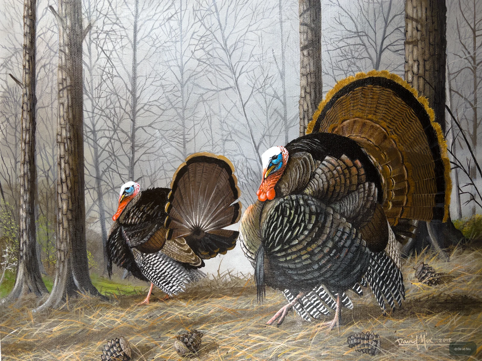 Tom Turkey Pair; original wildlife artwork in the turkeys series.
