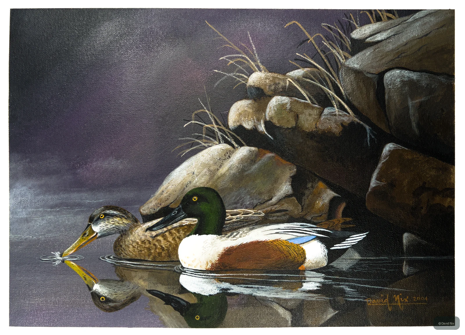 Mallard Pair at Winter’s Twilight; mallard duck wildlife artwork.