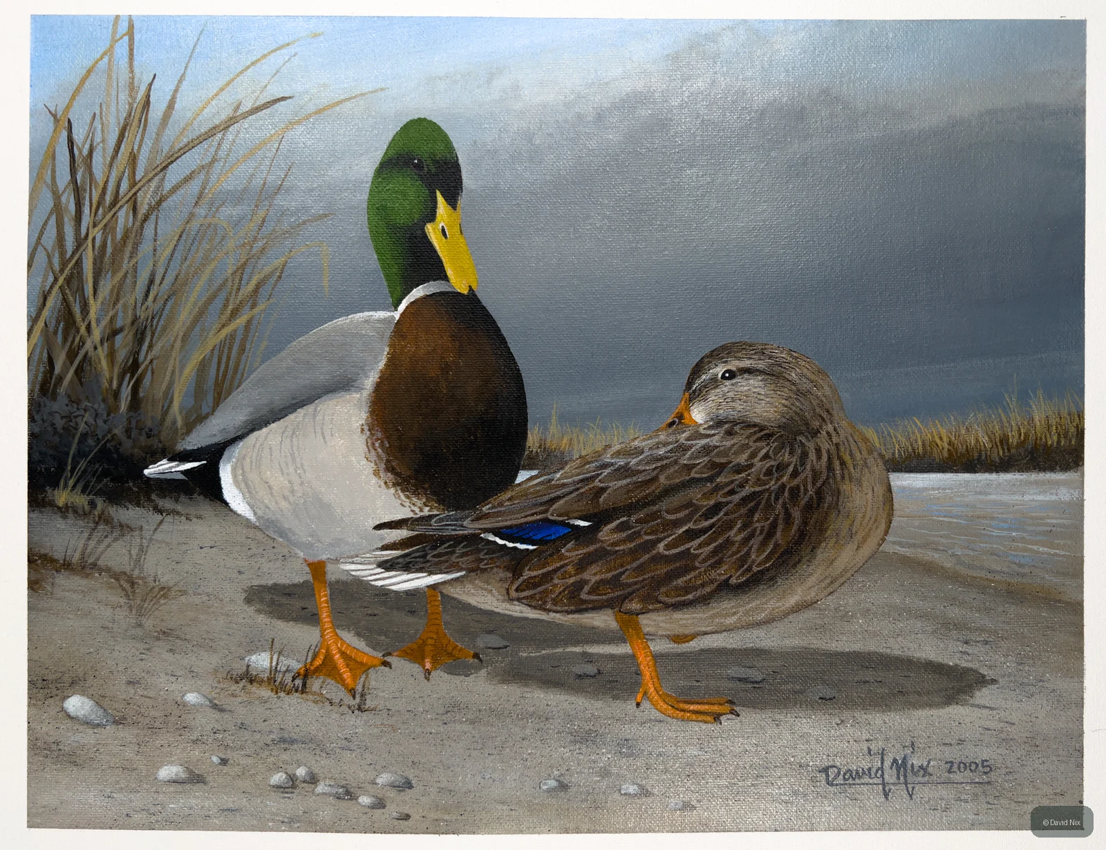 Mallard Duck Pair on Beach wildlife artwork.