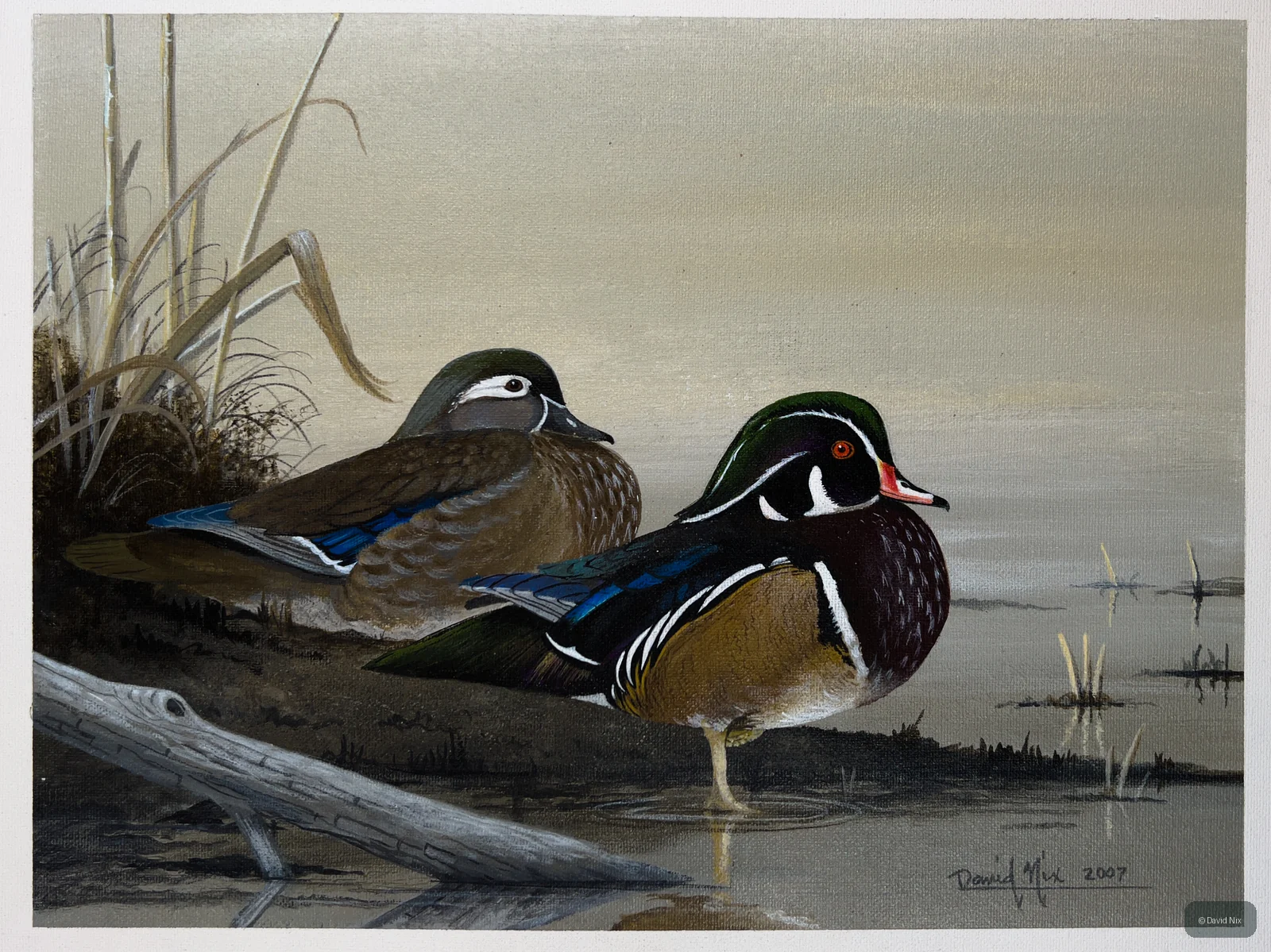 Wood Duck Pair on Water’s Edge; original wildlife artwork in the waterfowl series.