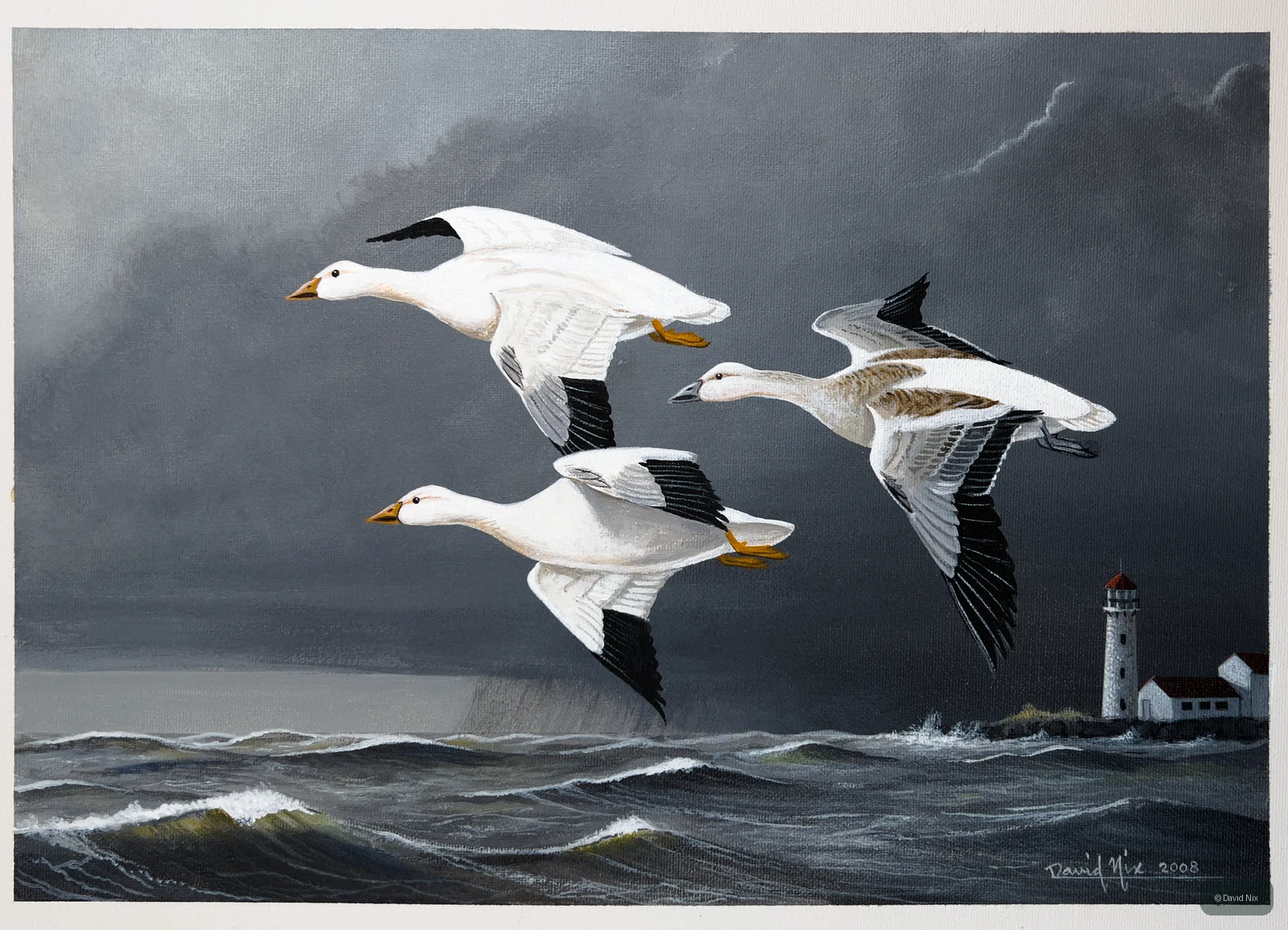 Snow Geese Group in Flight over Stormy Sea; snow goose subject in the waterfowl series.