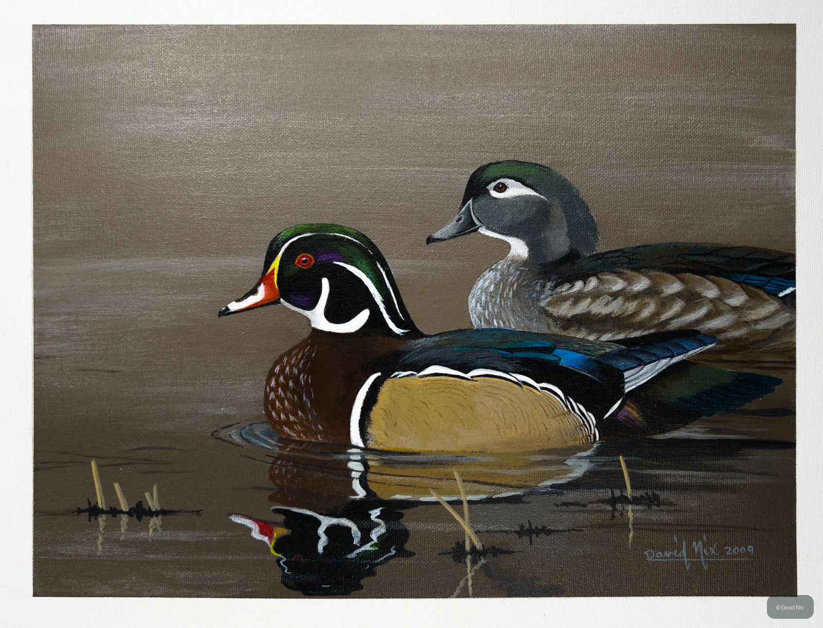 Wood Duck Pair at Dusk wildlife artwork.