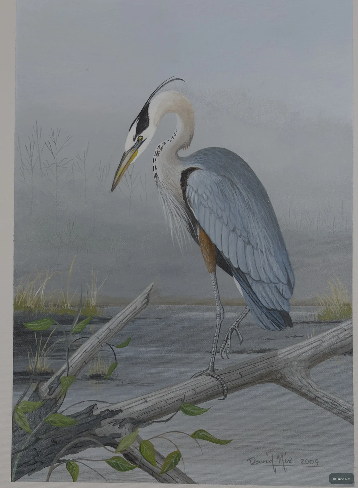 Great Blue Heron on Snag; original wildlife artwork in the waterfowl series.