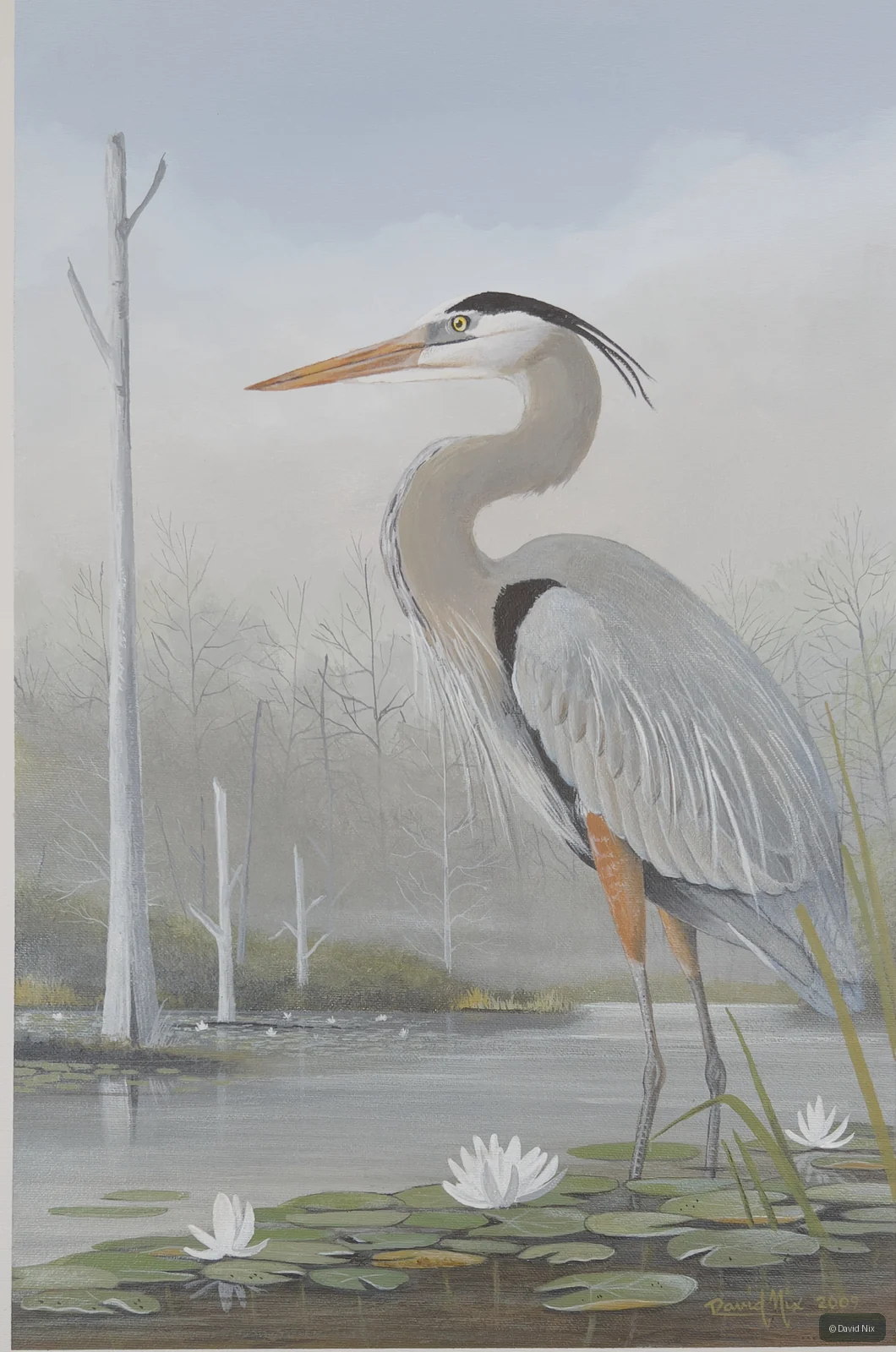 Great Blue Heron in Lily Pond; original wildlife artwork in the waterfowl series.