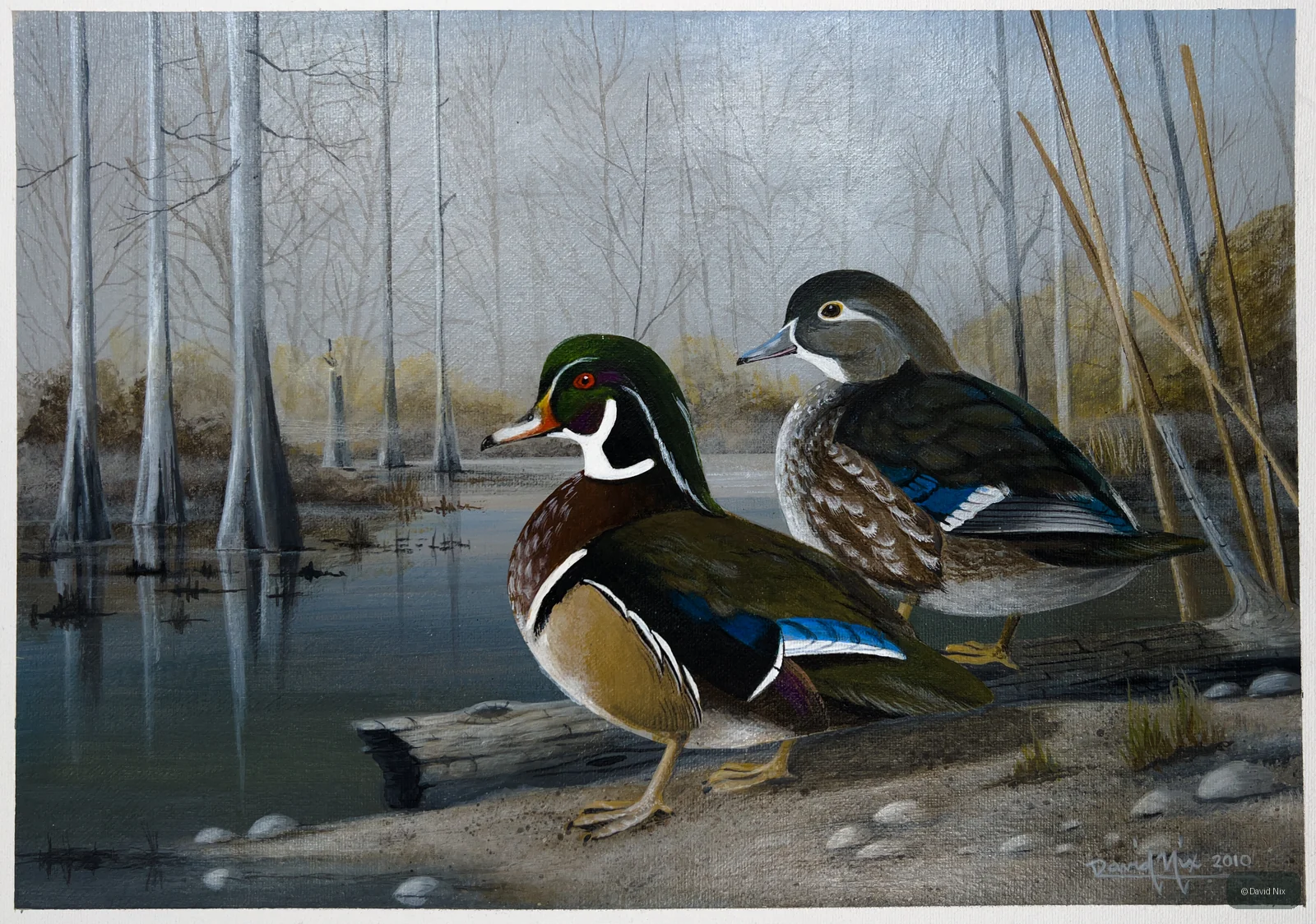 Wood Ducks on Sand Bar wildlife artwork.