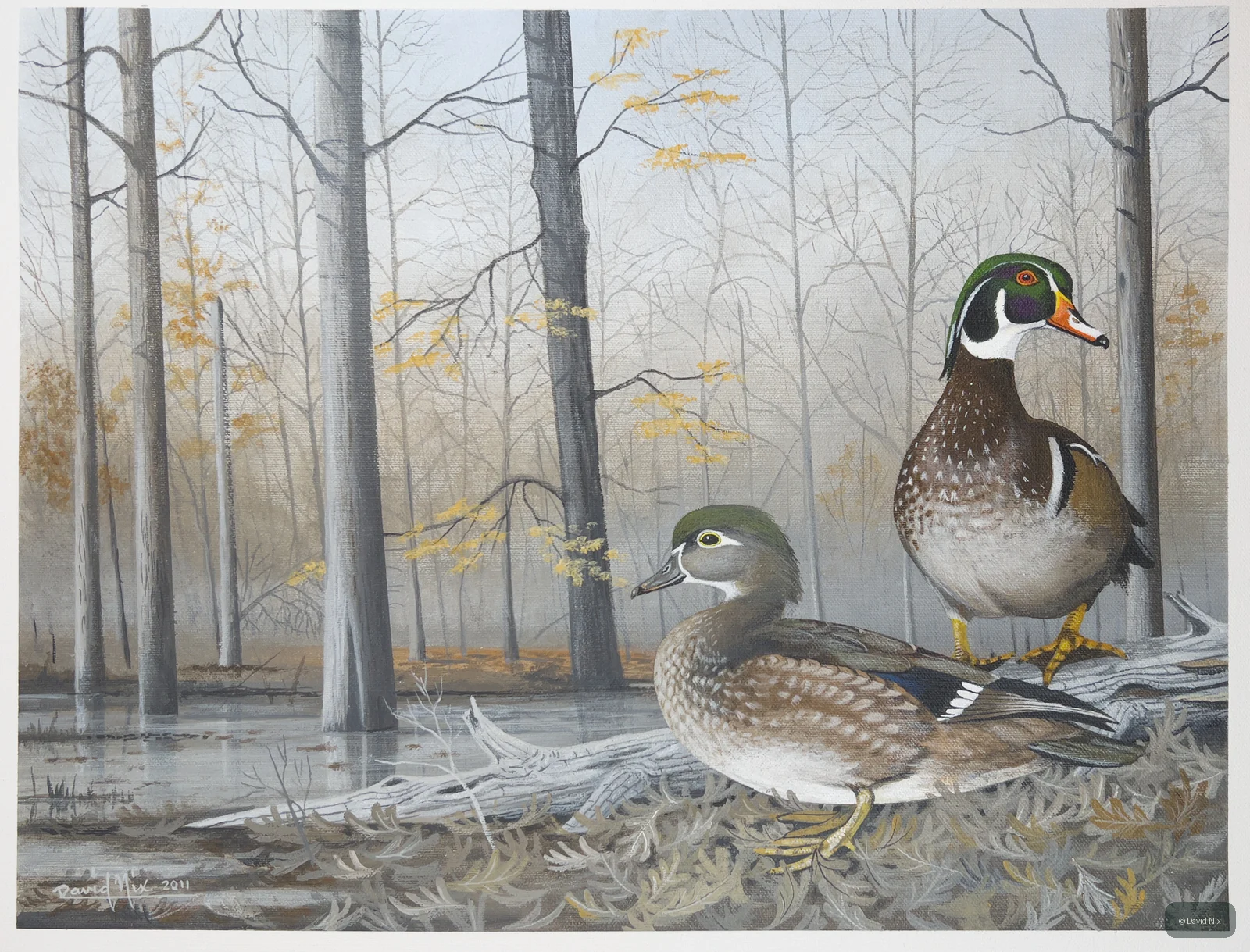 Wood Ducks Resting on Shoreline; original wildlife artwork in the waterfowl series.