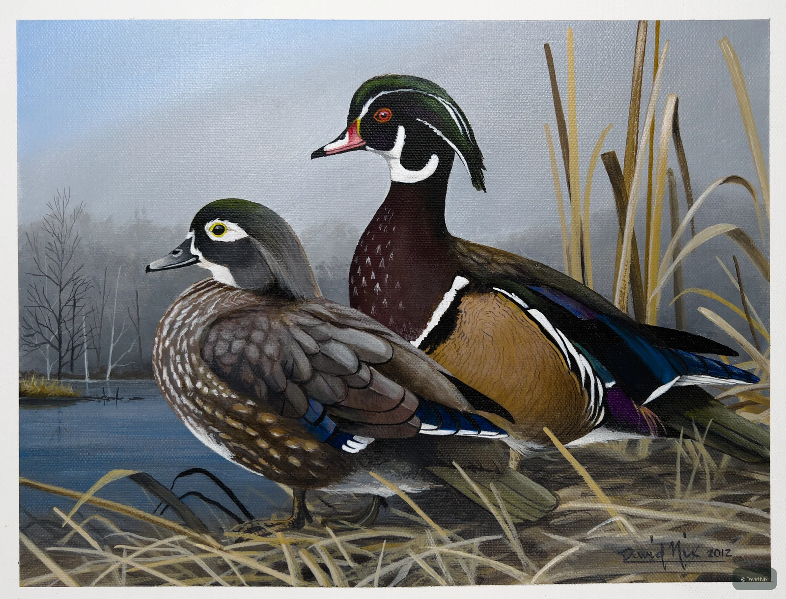 Wood Ducks on Marsh wildlife artwork.