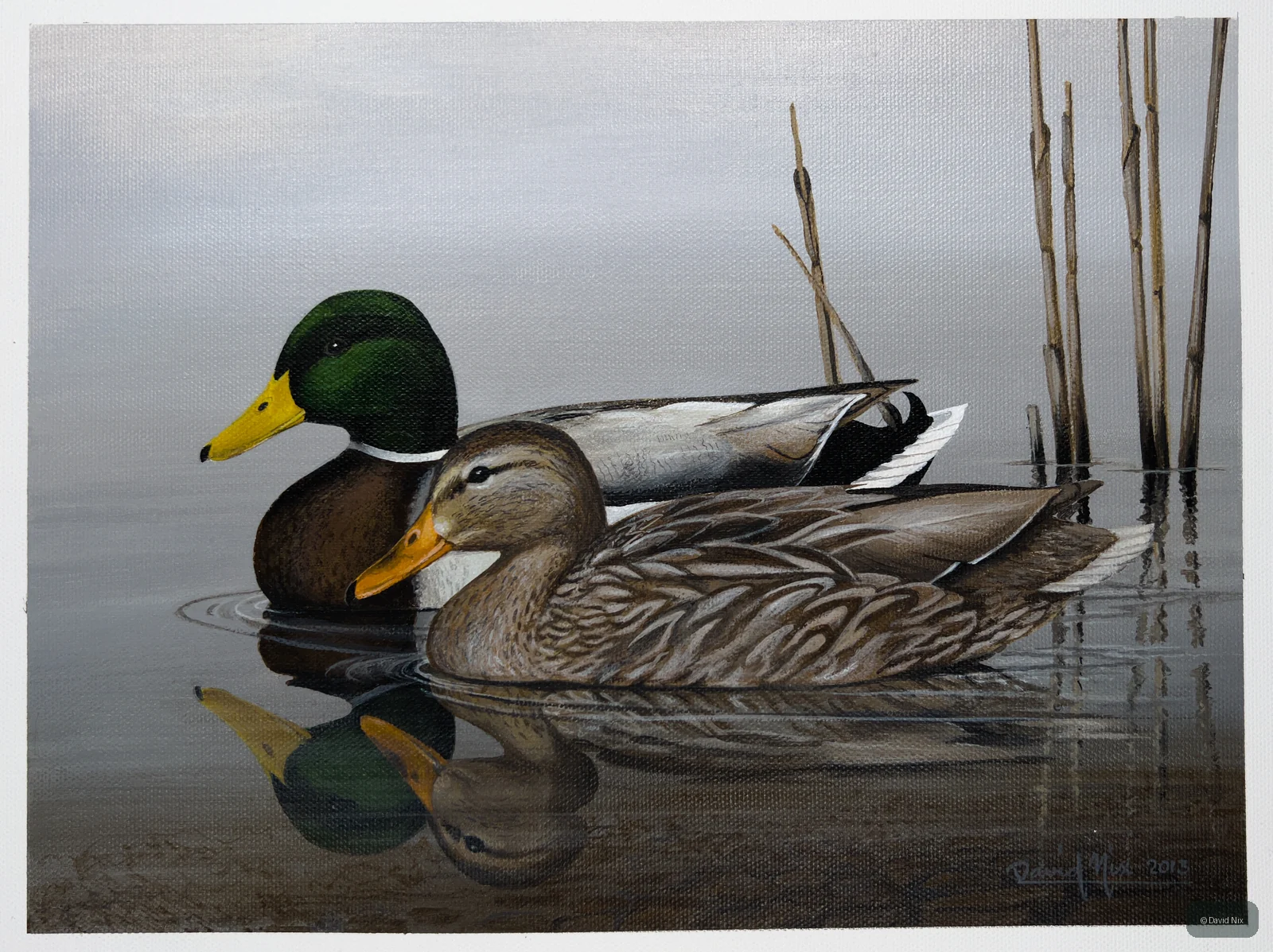 Mallard Duck Pair in Reeds wildlife artwork.