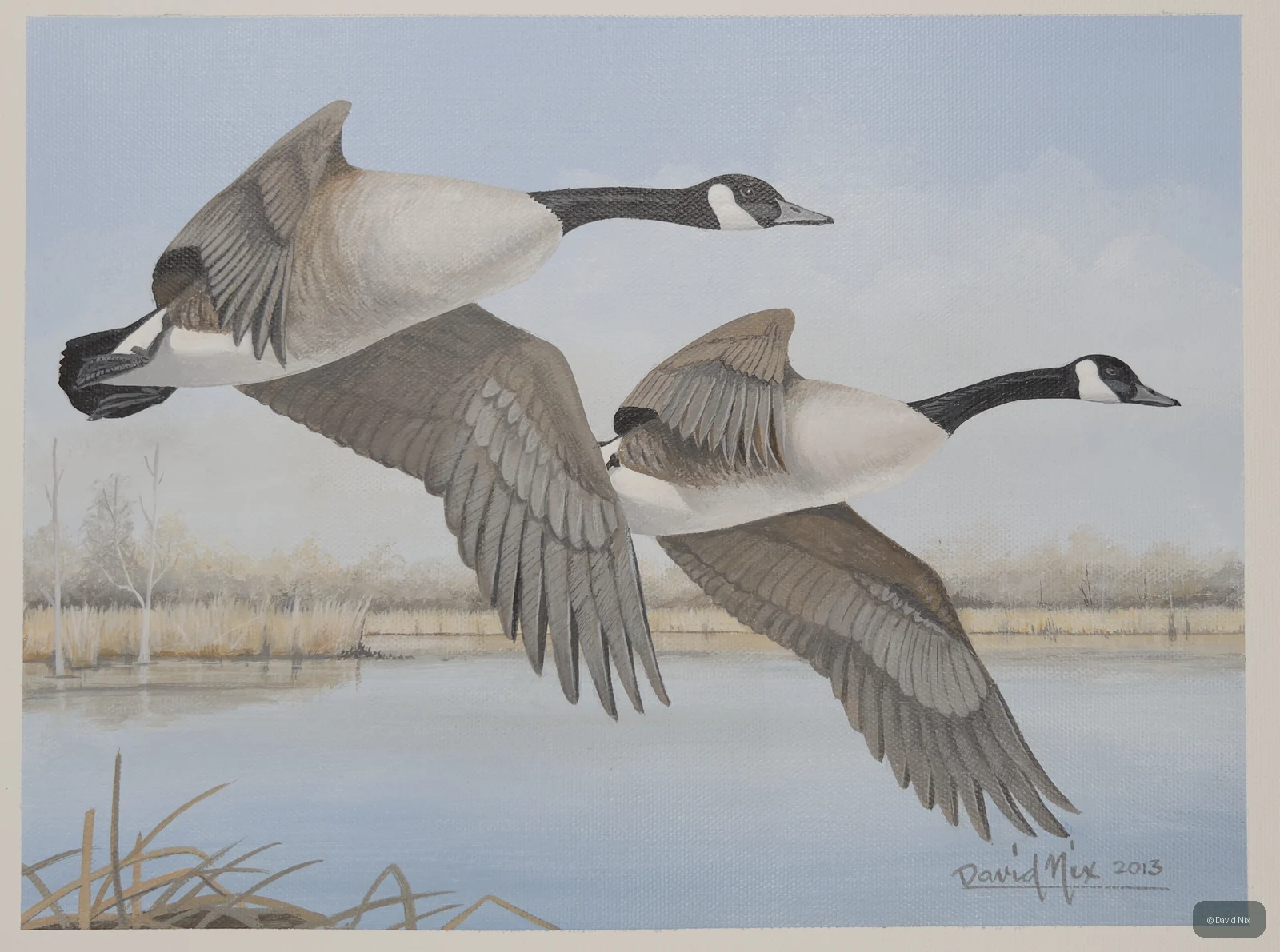 Canada Goose Pair in Flight over Inlet wildlife artwork.