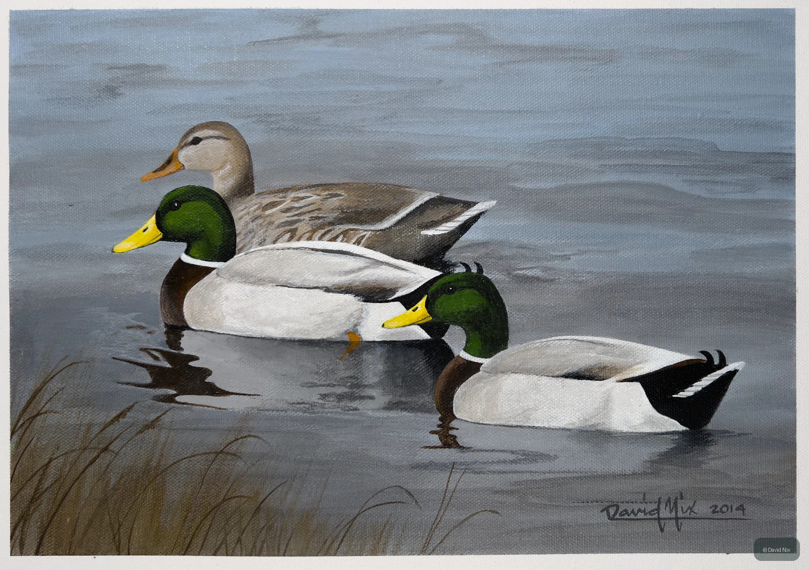 Mallard Trio on Parade; mallard duck wildlife artwork.