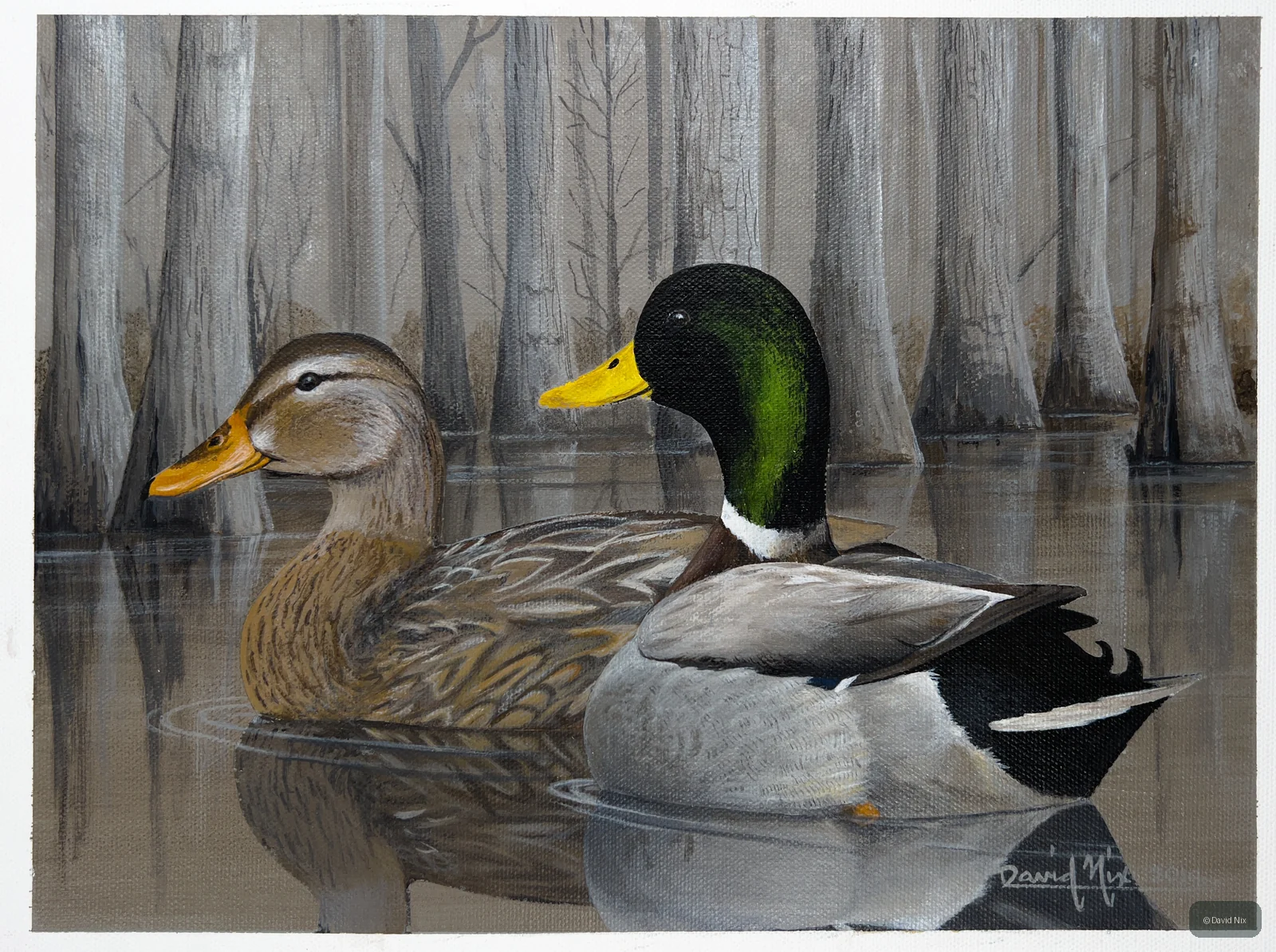 Mallards in the Winter Swamp; mallard duck wildlife artwork.