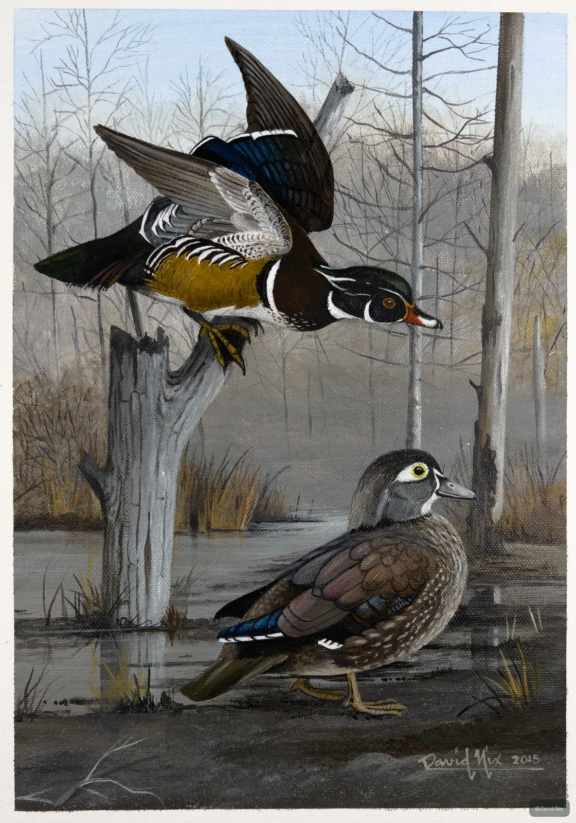 Wood Duck Pair in Winter wildlife artwork.