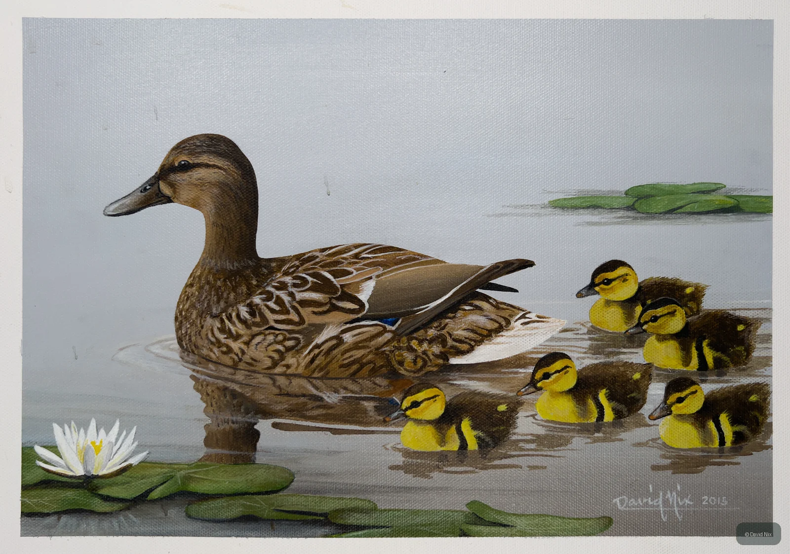 Mama and Ducklings in Lily Pads; mallard duck wildlife artwork.