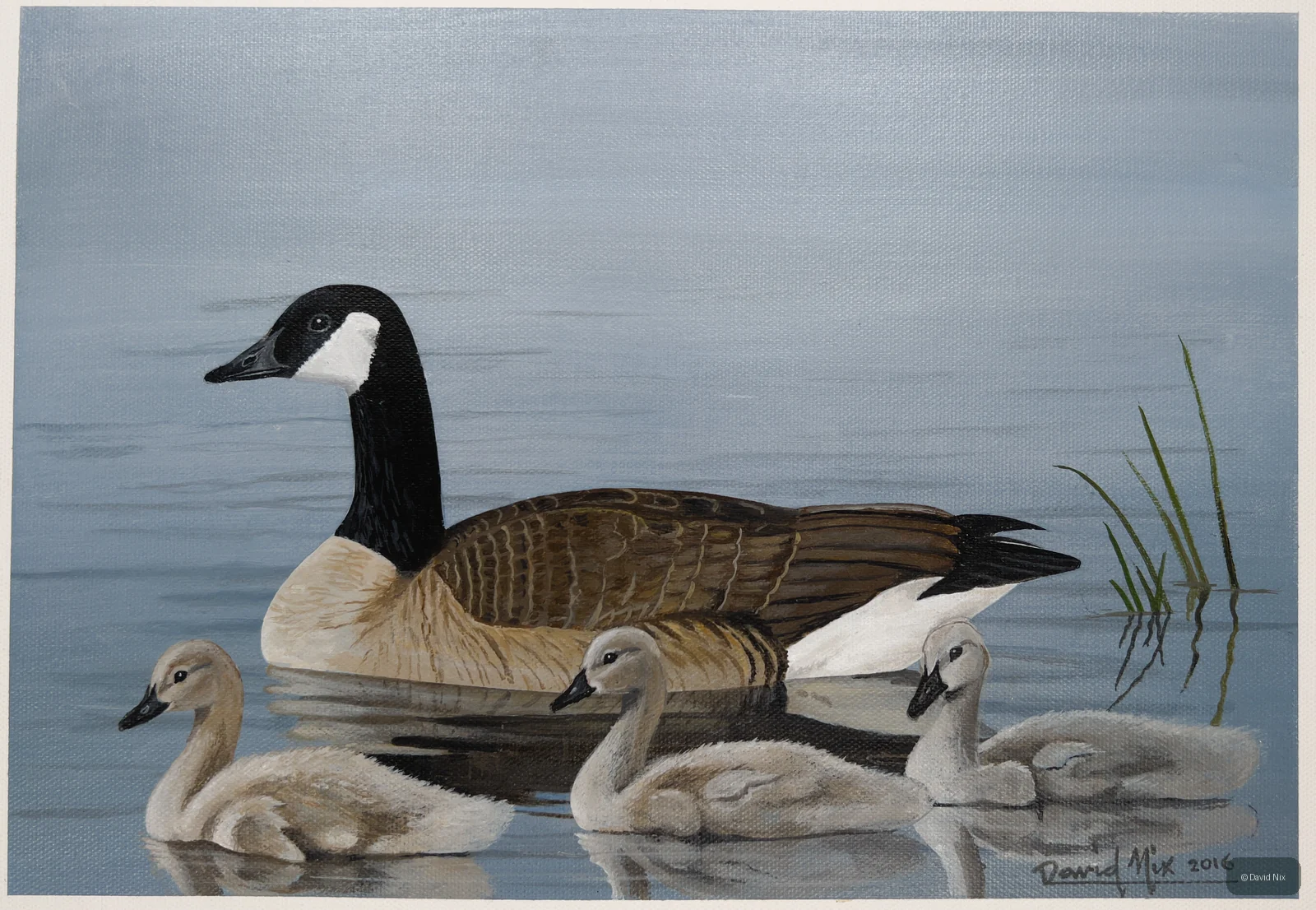 Mama with Goslings; canada goose wildlife artwork.