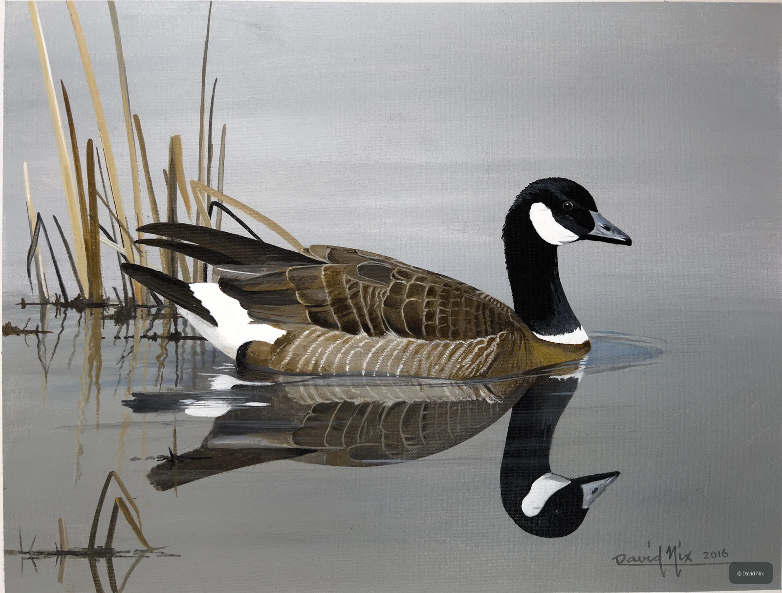 Canada Goose on Peaceful Pond; original wildlife artwork in the waterfowl series.
