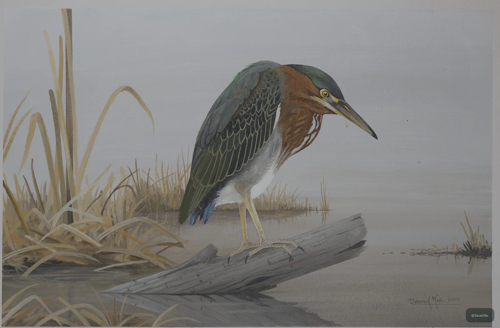 Little Green Heron on Snag; original wildlife artwork in the waterfowl series.