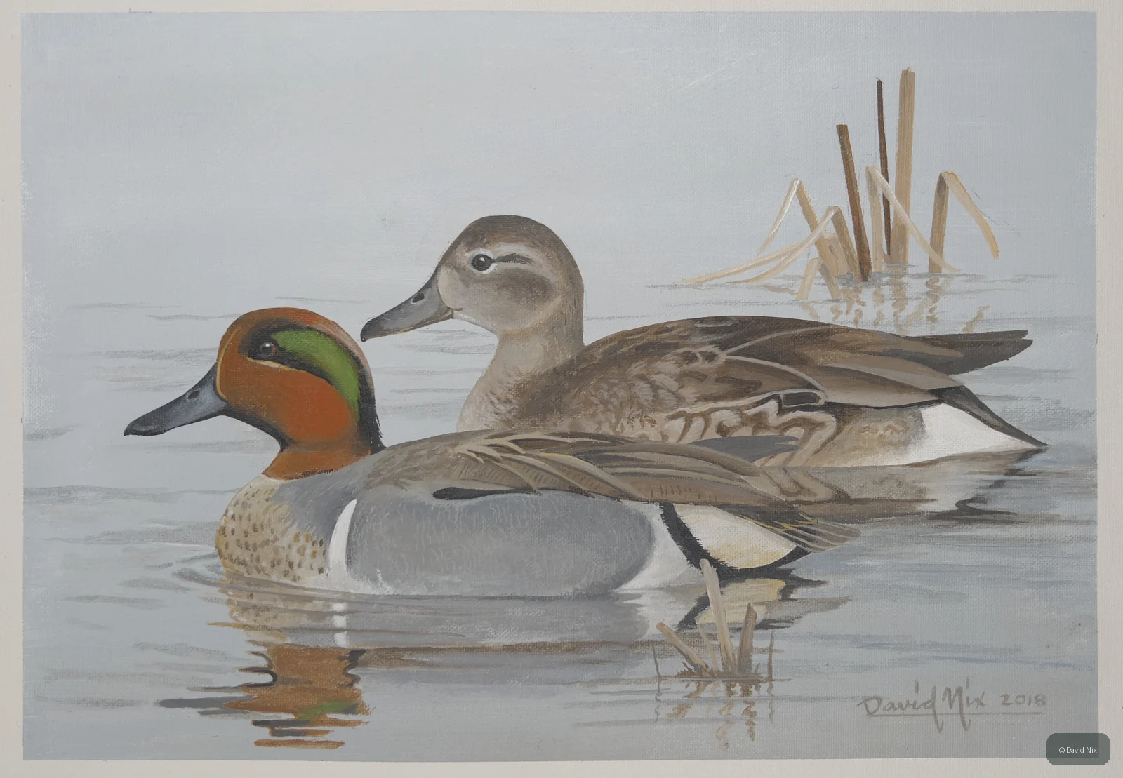 Green-Winged Teal Pair wildlife artwork.