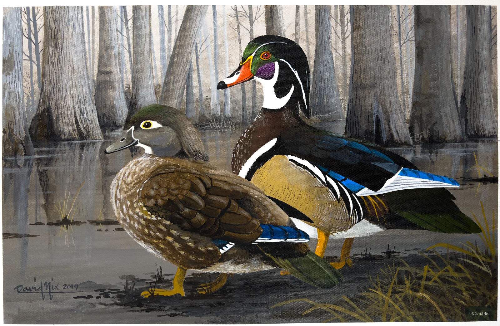 Wood Duck Pair in Swamp; original wildlife artwork in the waterfowl series.
