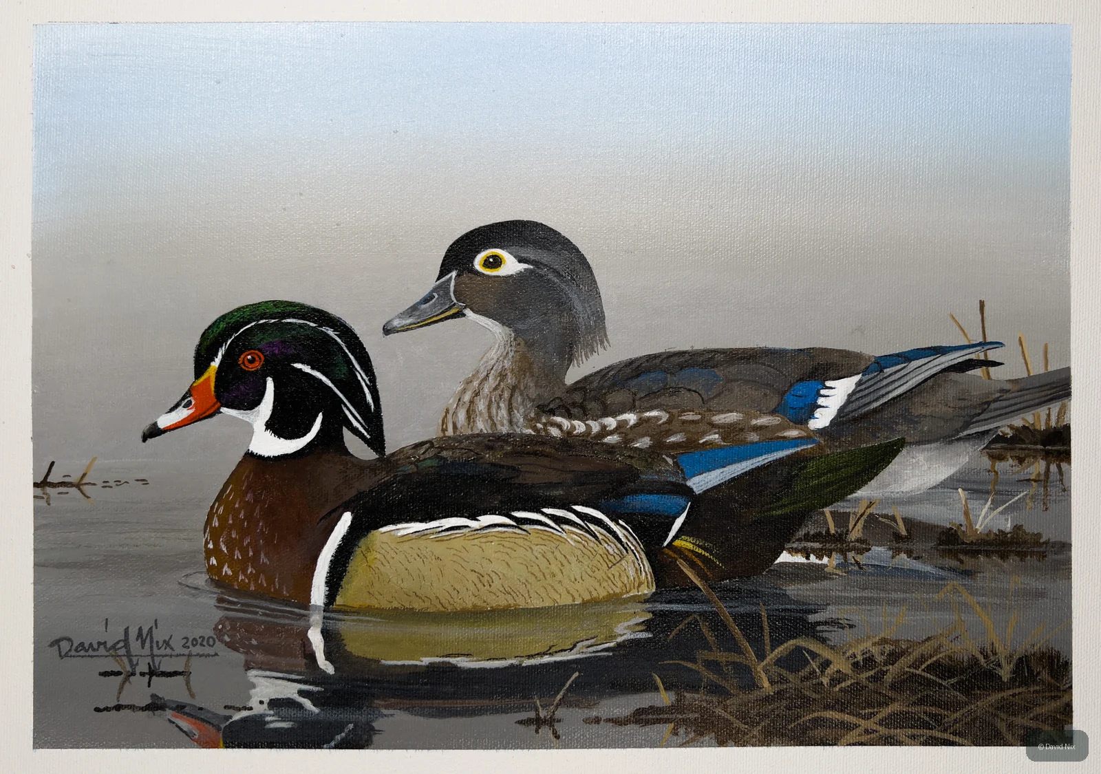 Wood Duck Pair in Marsh wildlife artwork.
