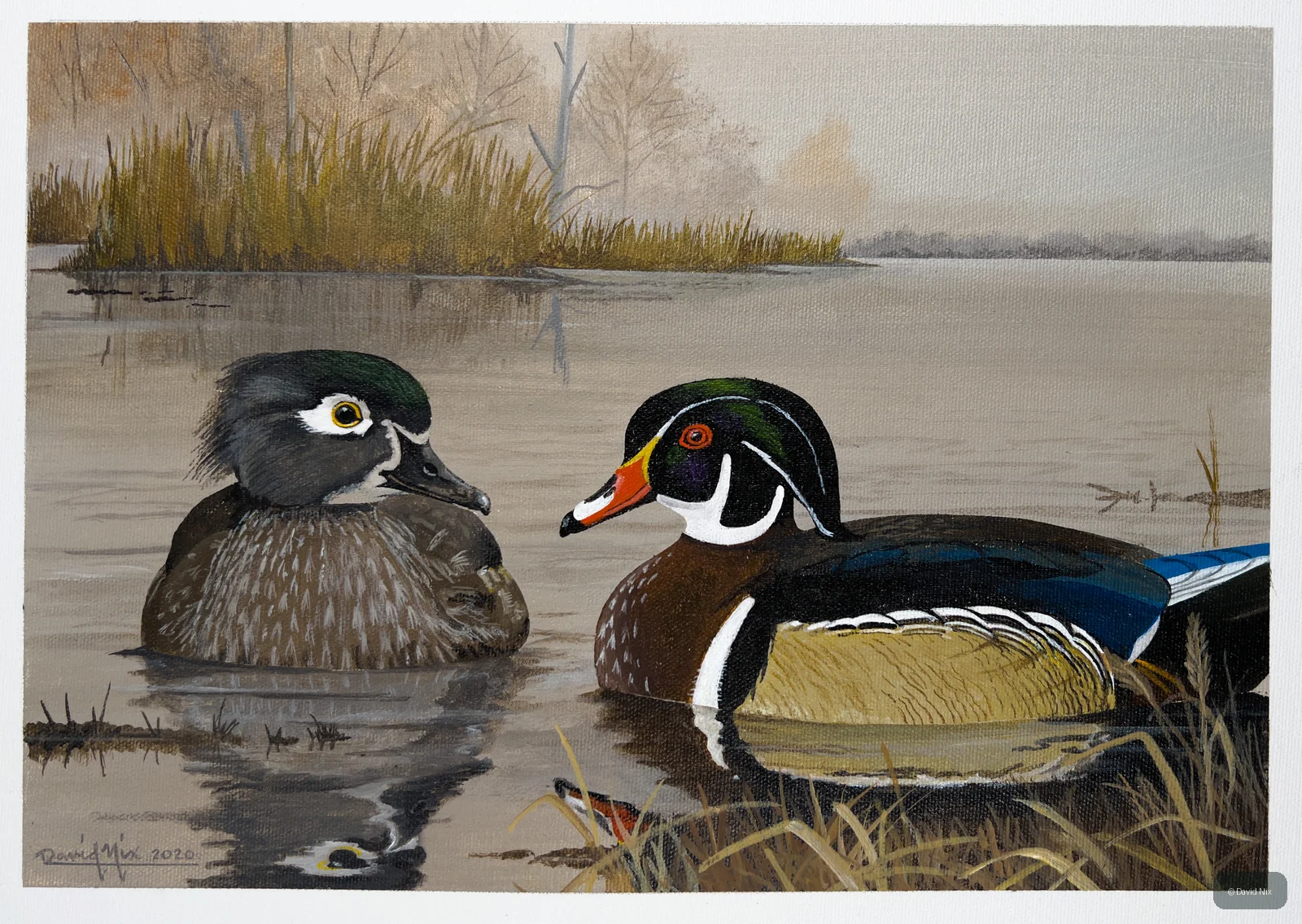 Wood Duck Pair on Lakeshore wildlife artwork.