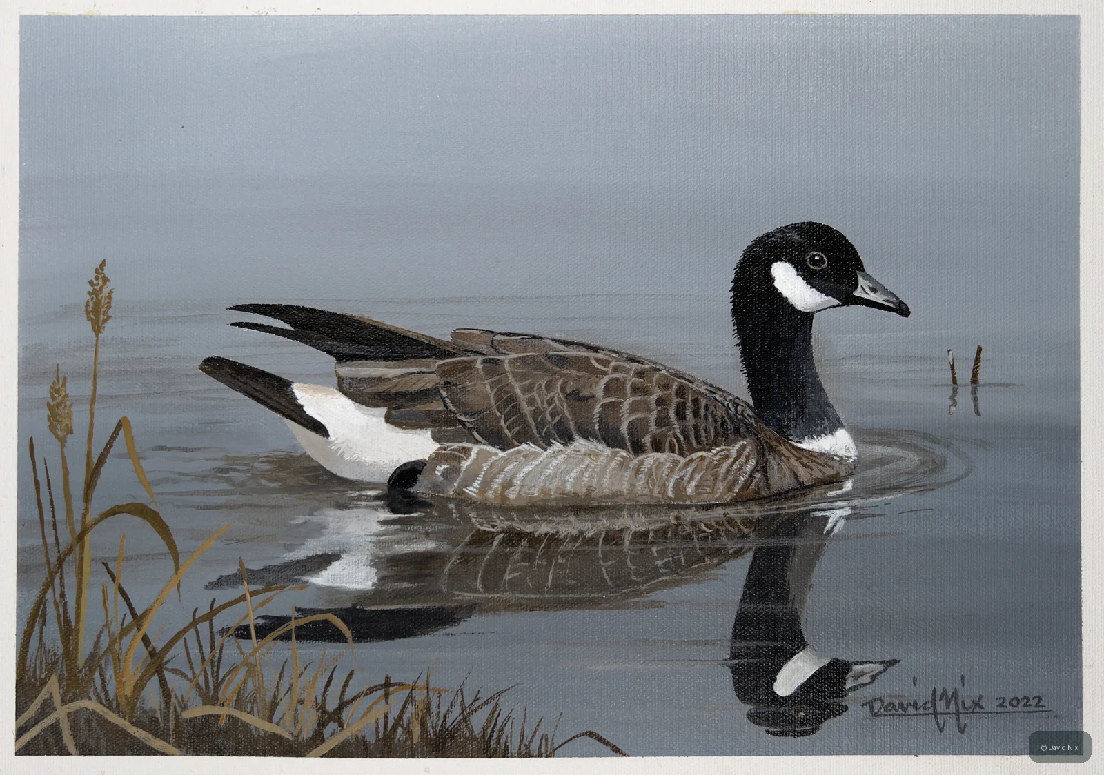 Canada Goose Transiting wildlife artwork.