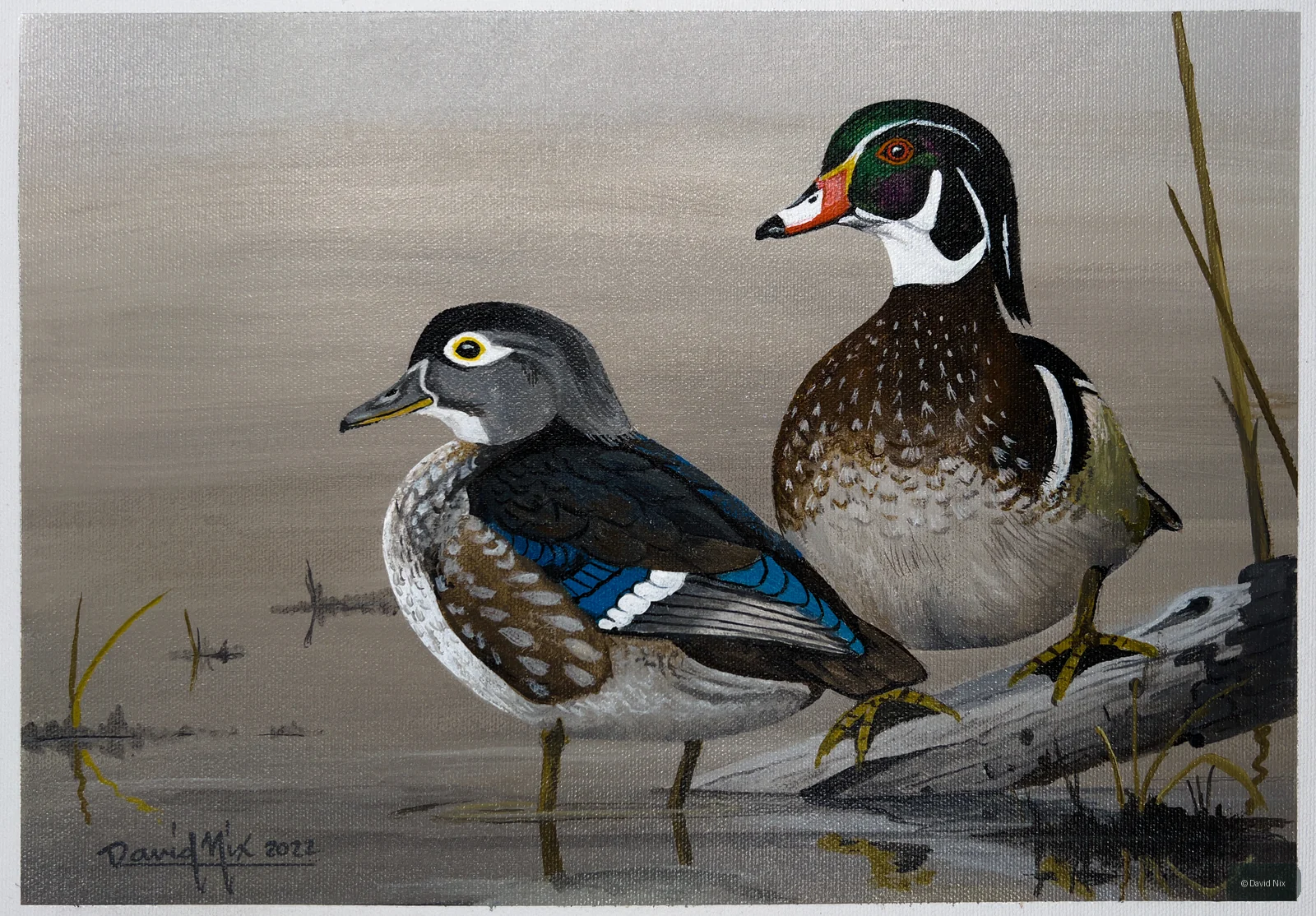 Wood Duck Pair on Snag wildlife artwork.
