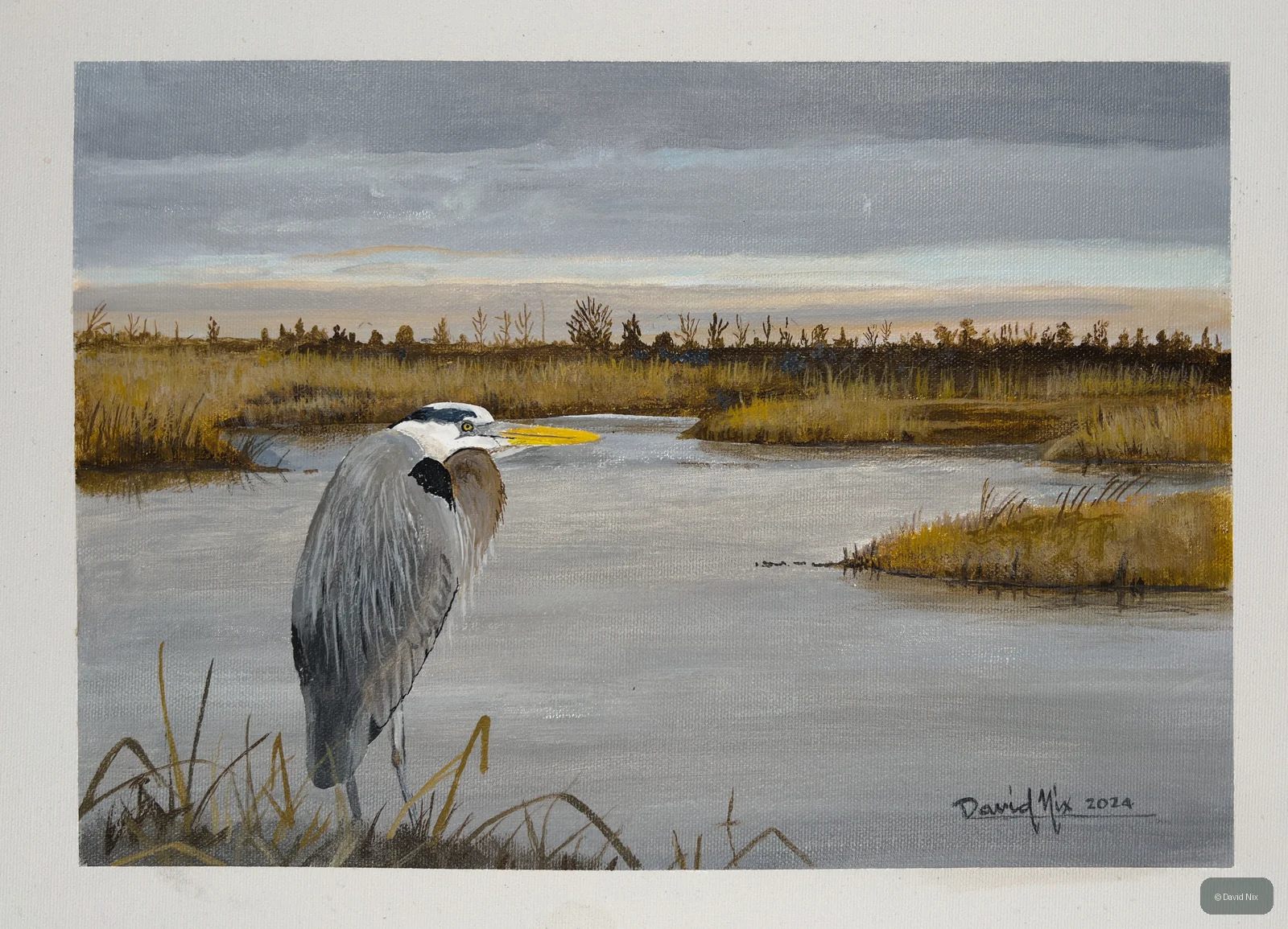 Great Blue Heron in broad marsh landscape with open water.