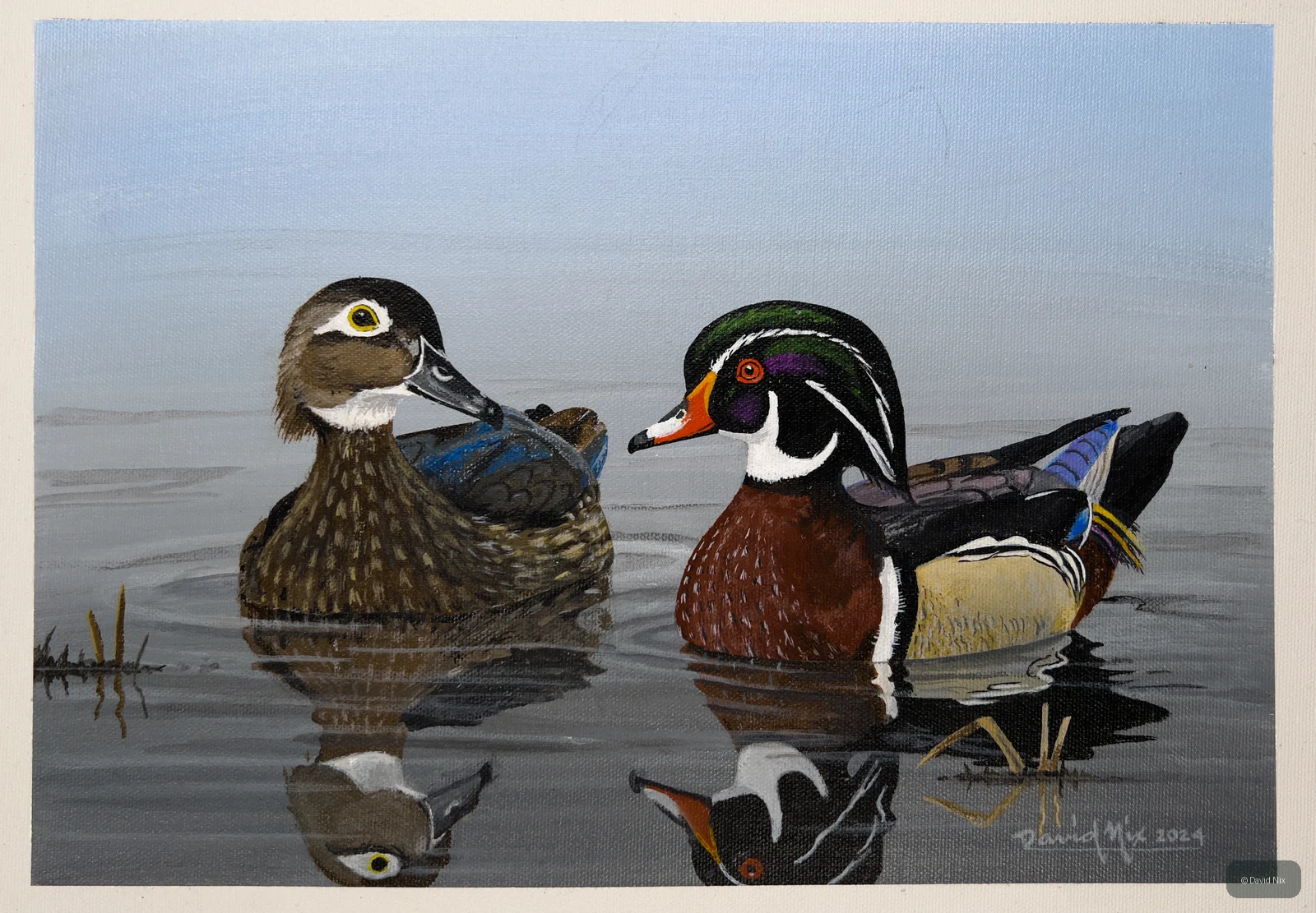 Wood Duck Pair in Love wildlife artwork.