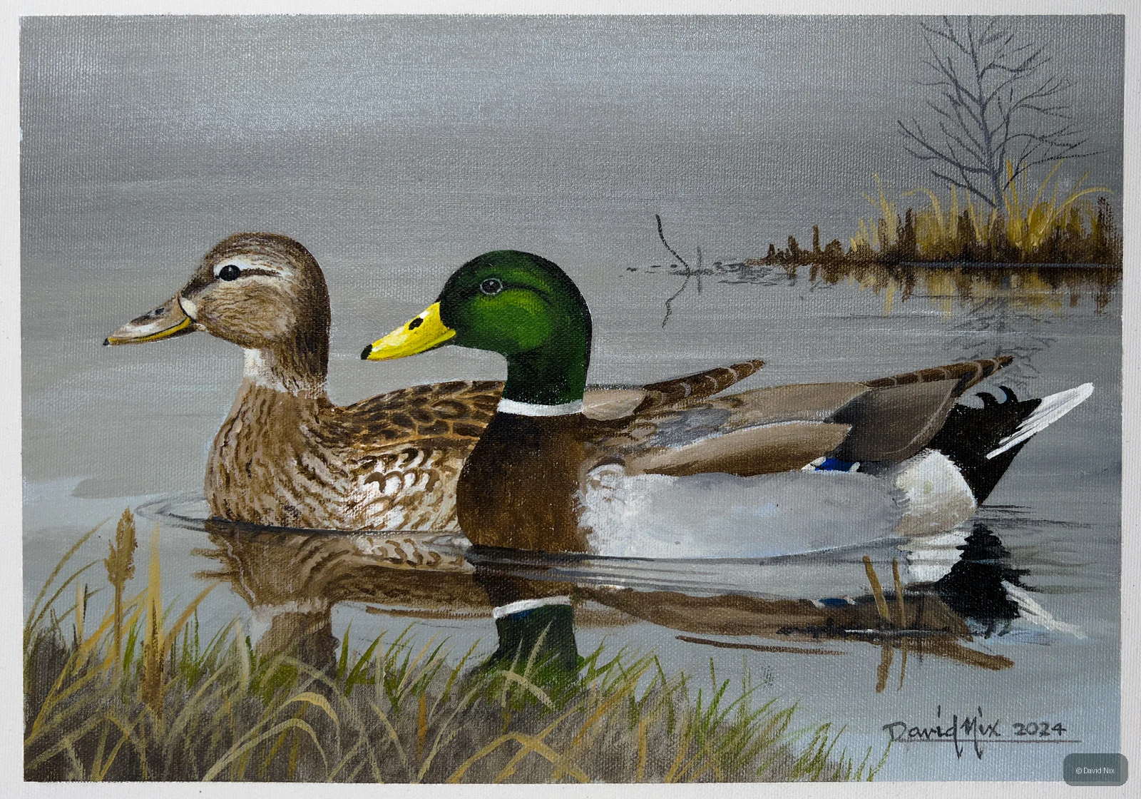 Mallards in the Haze; mallard duck wildlife artwork.