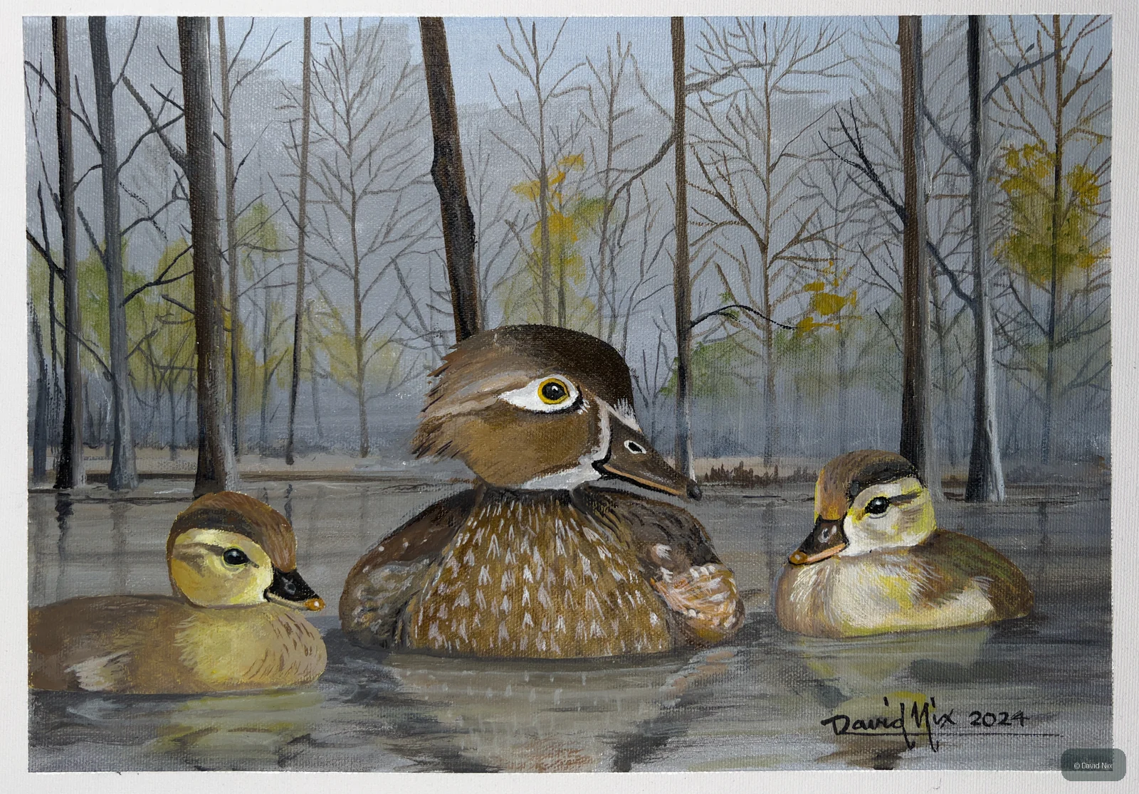 Mama Wood Duck with Babies wildlife artwork.