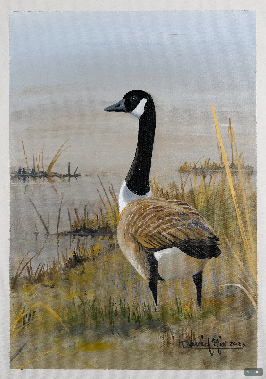 Canada Goose on Shoreline wildlife artwork.
