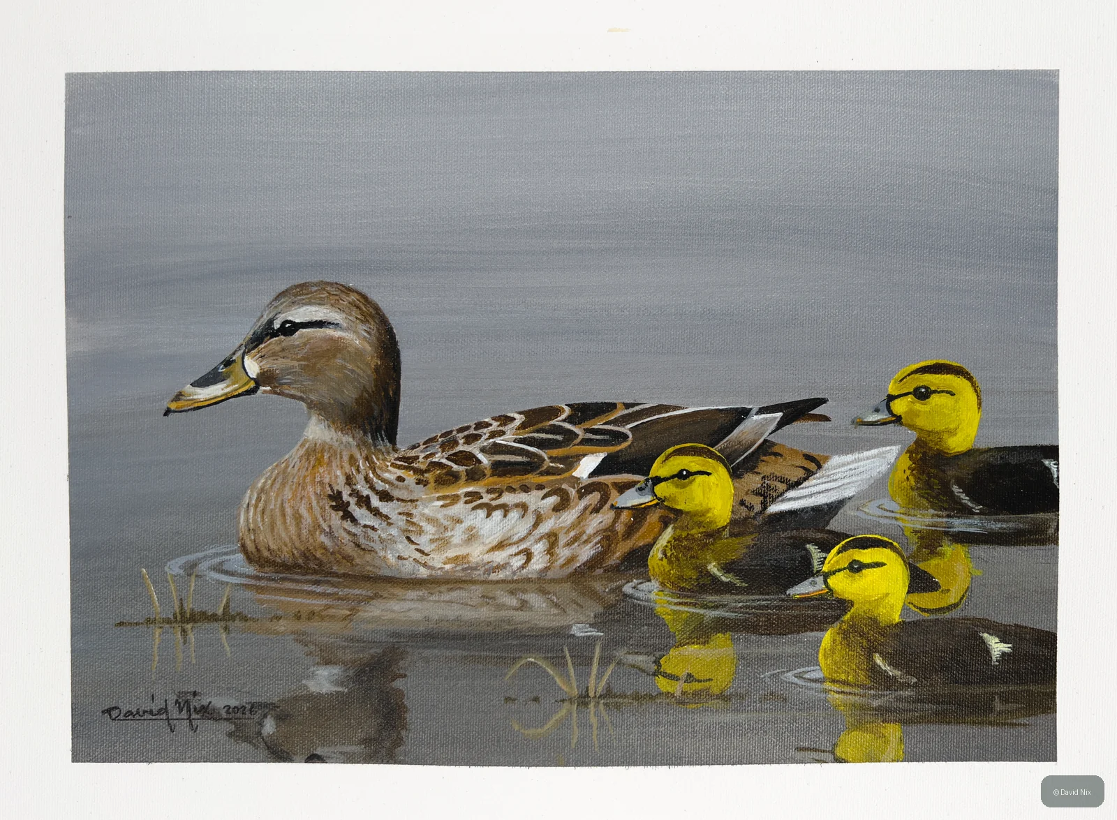 Mallard Duck family with ducklings on calm water.