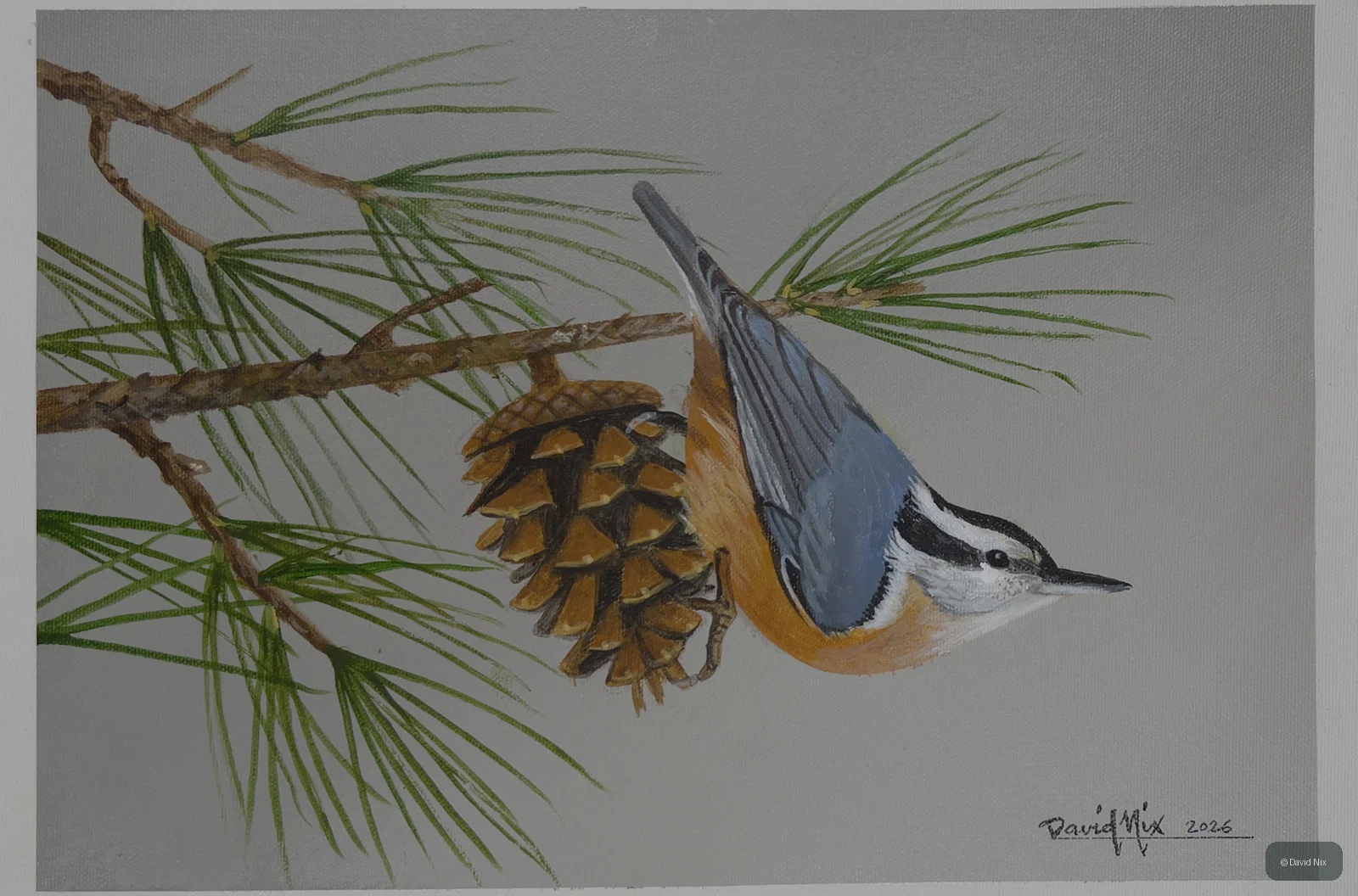 Red-Breasted Nuthatch; original wildlife artwork in the waterfowl series.